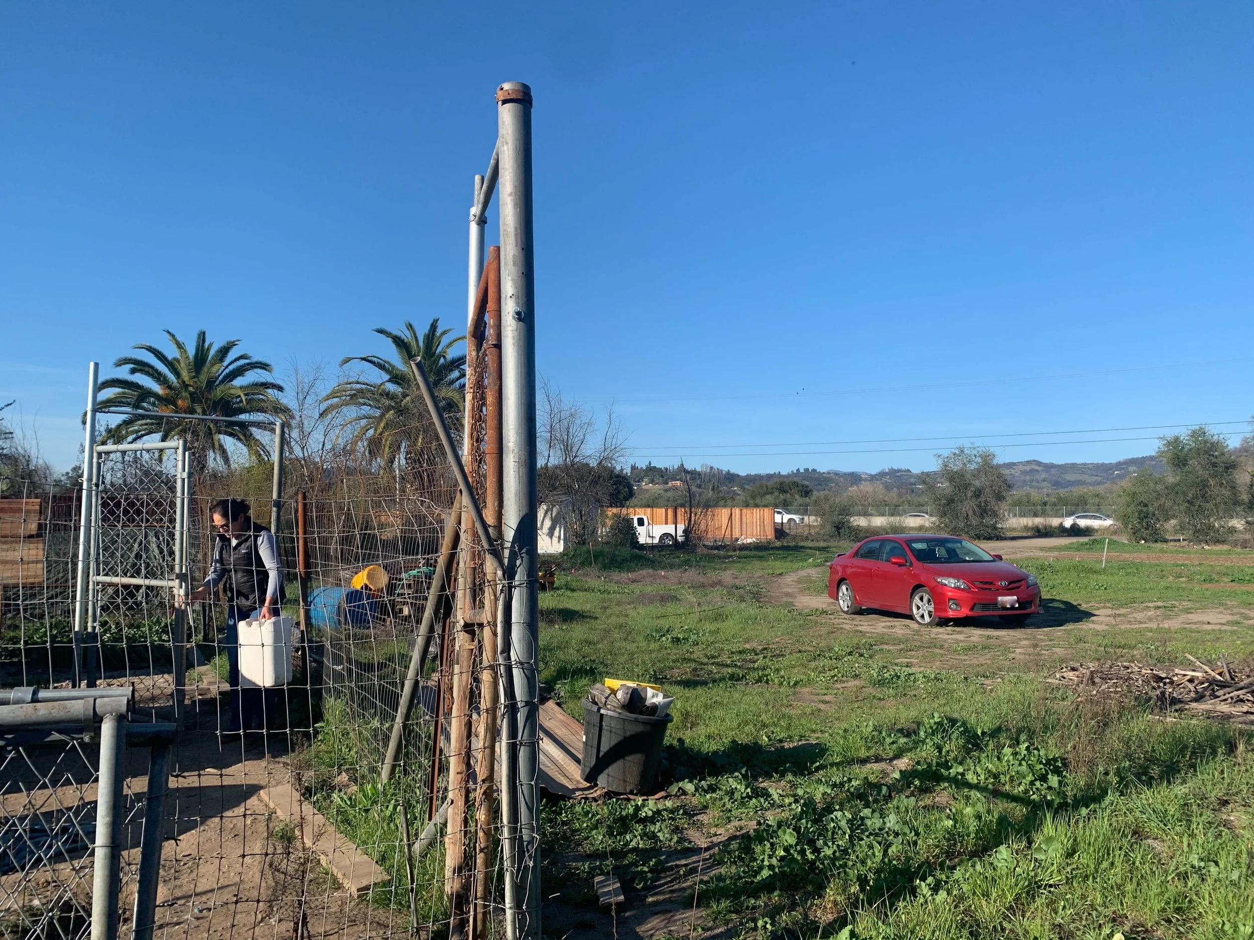 Mar Rivas, "Chiquilla and Tiliche," 2020. "My family lost our house in a wildfire. Our dogs, Chiquilla and Tiliche, which we kept outside in our backyard, no longer stay with us because we live in an apartment building. Once a day either my mom or da