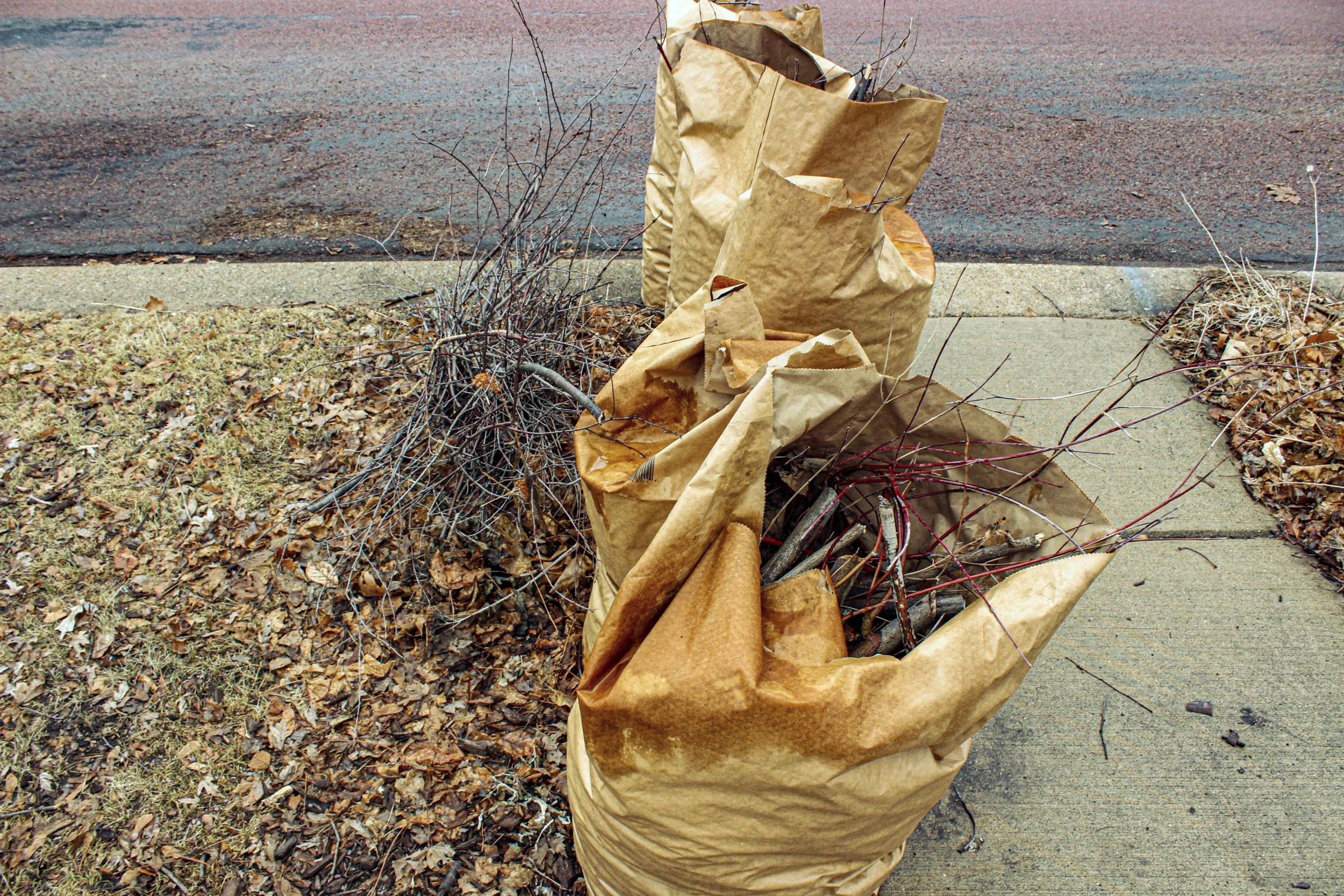 William Richardson, "Curbside Chores," 2022.
Each spring, summer, and fall, there are leaves to be gathered, blades of grass in need of cutting, and sticks litter the sidewalk. Usually, it is my father and I who take care of this work. If grass did n