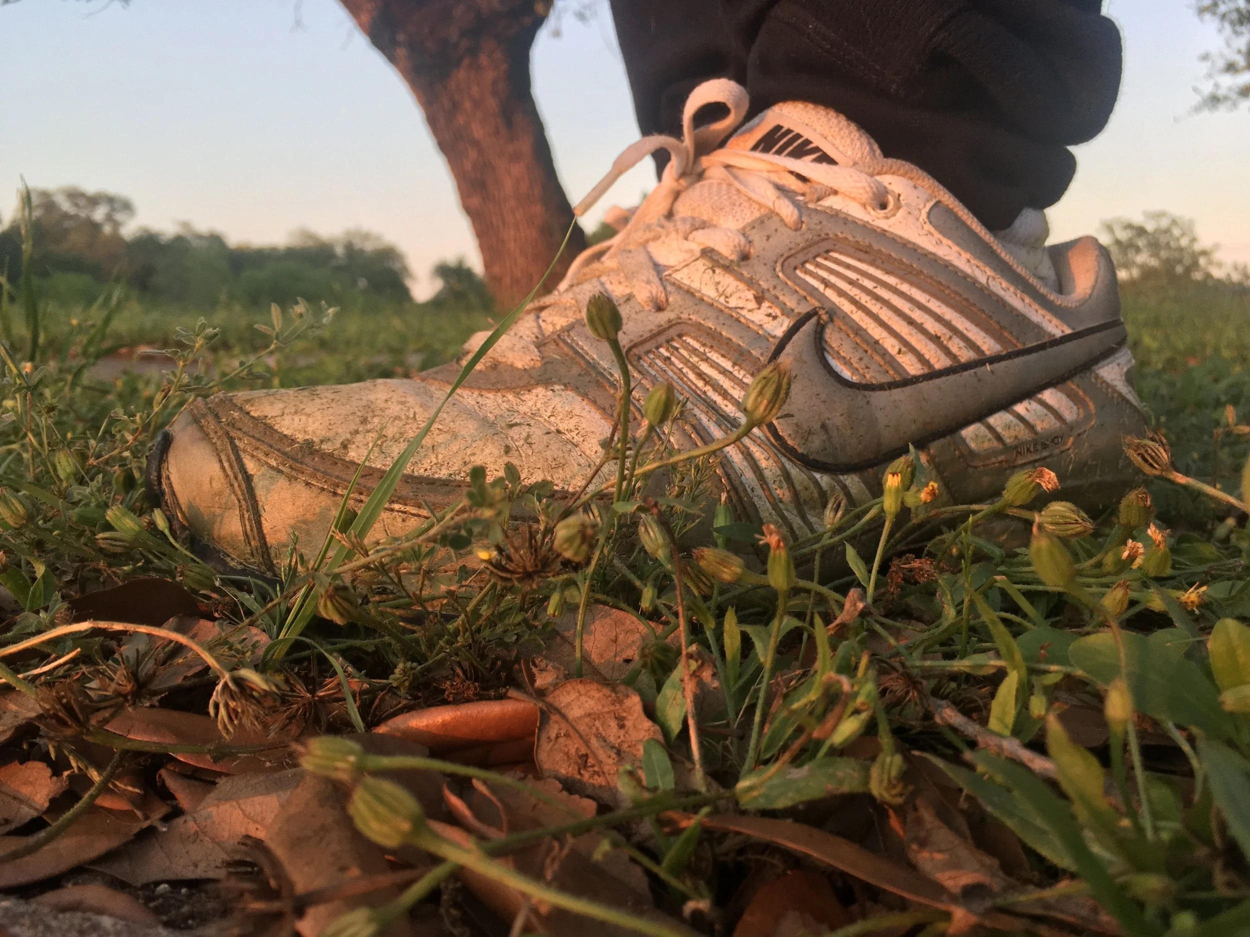 Noah Lawrence, "Tried-and-True Tennis Shoes," 2020. "More time at home means more time to cut the grass, according to the neighborhood Homeowners Association. Even if this mundane chore is accompanied by the incessant nagging from the HOA, it still g