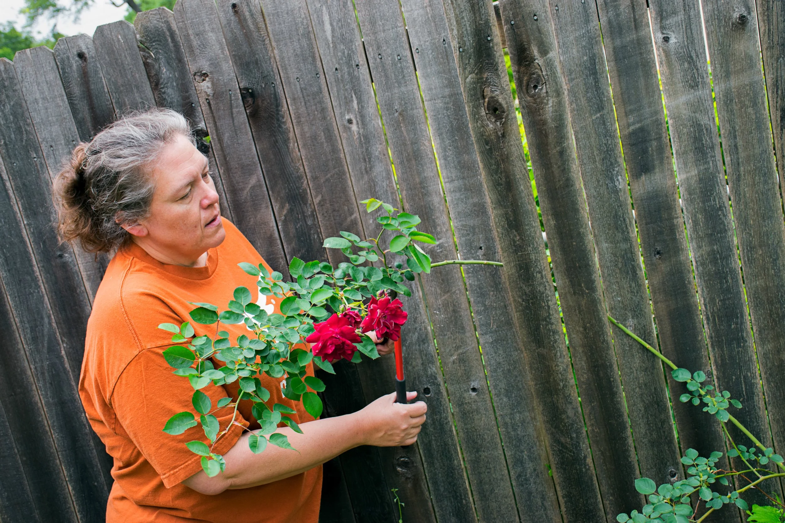 Coker Novosad-Wagner, "Untitled," 2018. "My mother helps my father and me with yard work. She just trimmed a branch off of a rose bush."