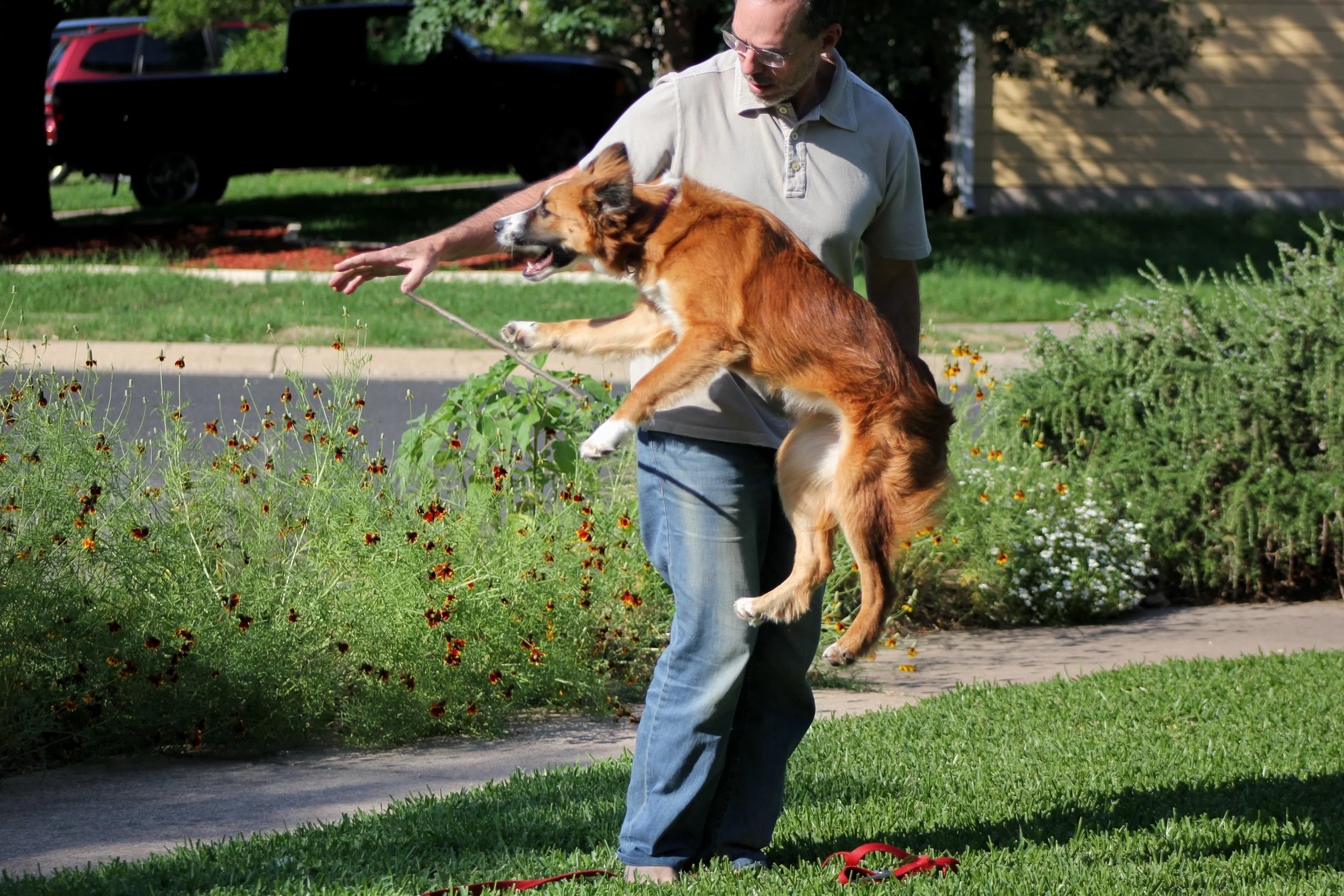 Sarah T. Slaten, "Far Fetched," 2018. "In January, we got my dog, River. She has become the 4th most important member of our family. We all contribute to taking care of her and a lot of our family time is spent with her."