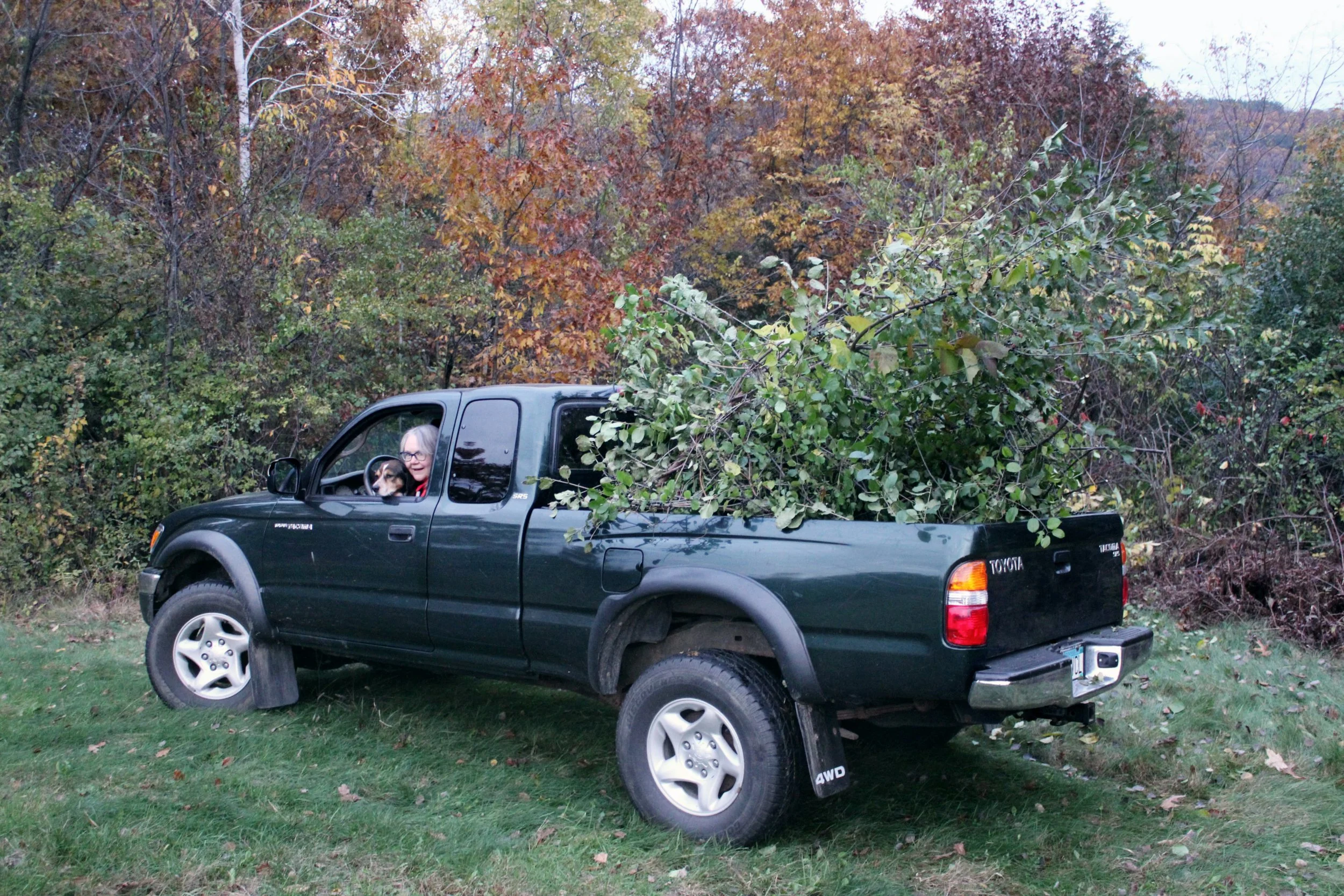 Freya Brokken, "Pickup Truck," 2019. "My Oma has a pickup truck that she uses when doing work in the woods. Today we used it to put the buckthorn in that we cut down."