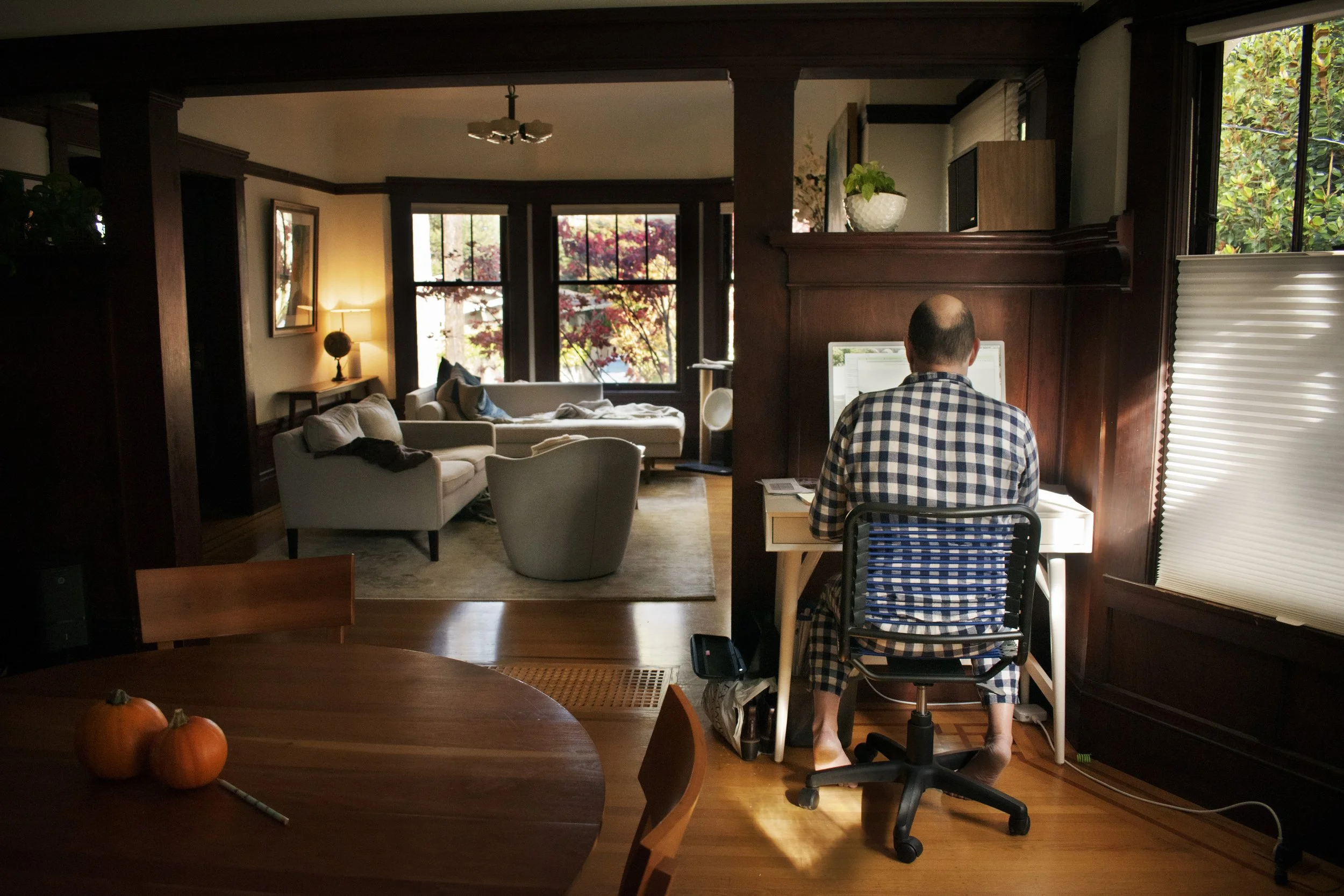 Linden Koshland, "Desktop," 2022.