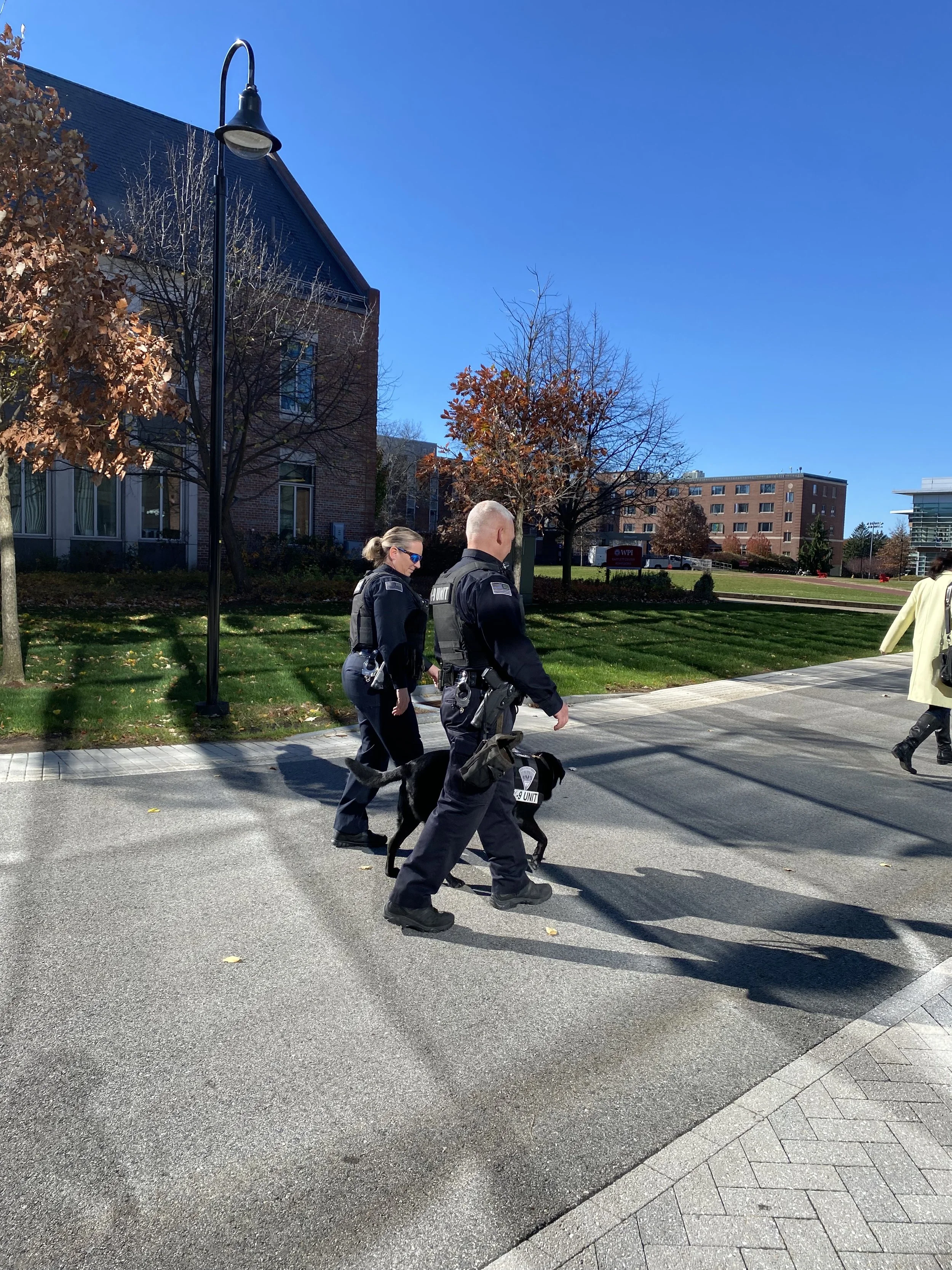 Alex Morais, "Dependable and Reliable," 2022.