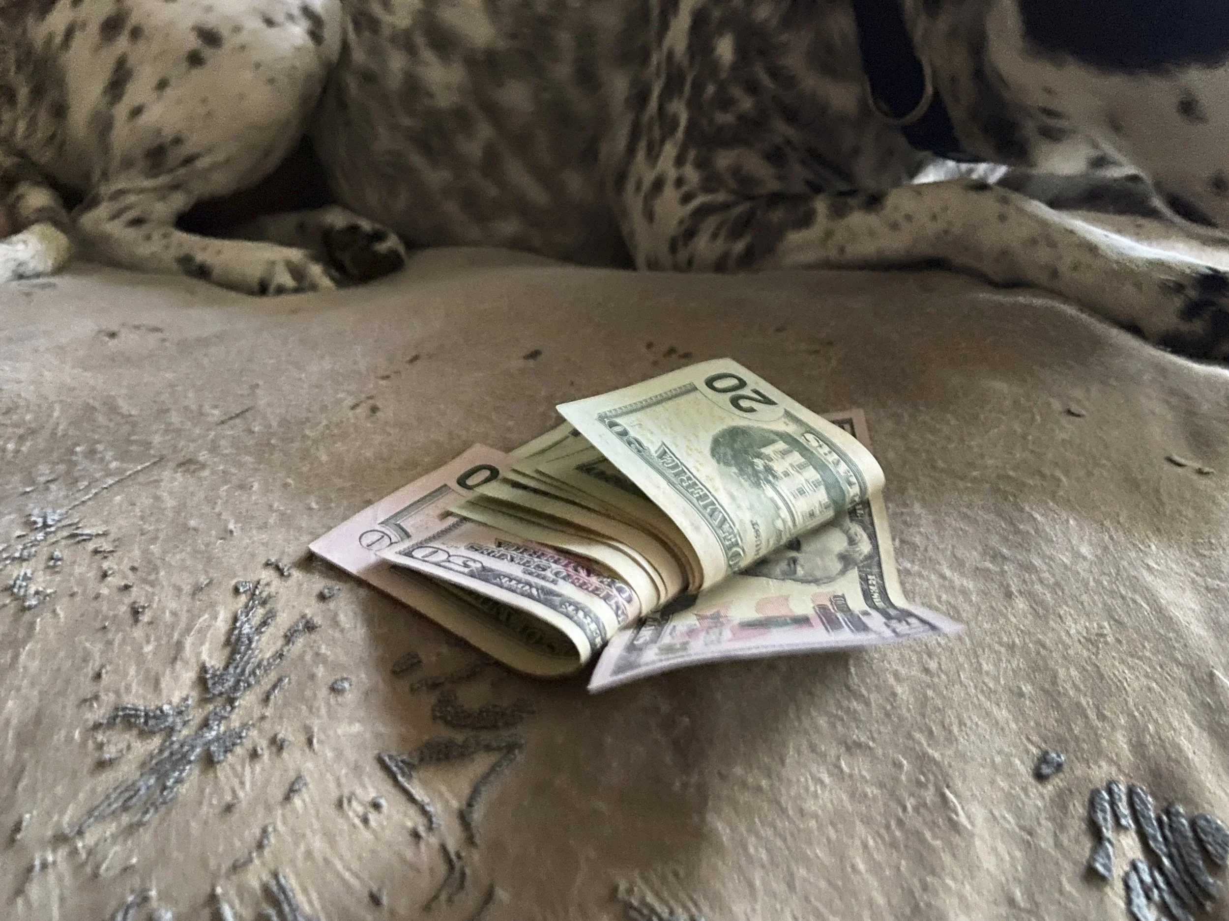 London Bell, "Money Dawg," 2022.
Money Dawg Money Dawg Money Dawg Money Dawg Money Dawg Money Dawg Money Dawg Money Dawg Money Dawg Money Dawg Money Dawg Money Dawg