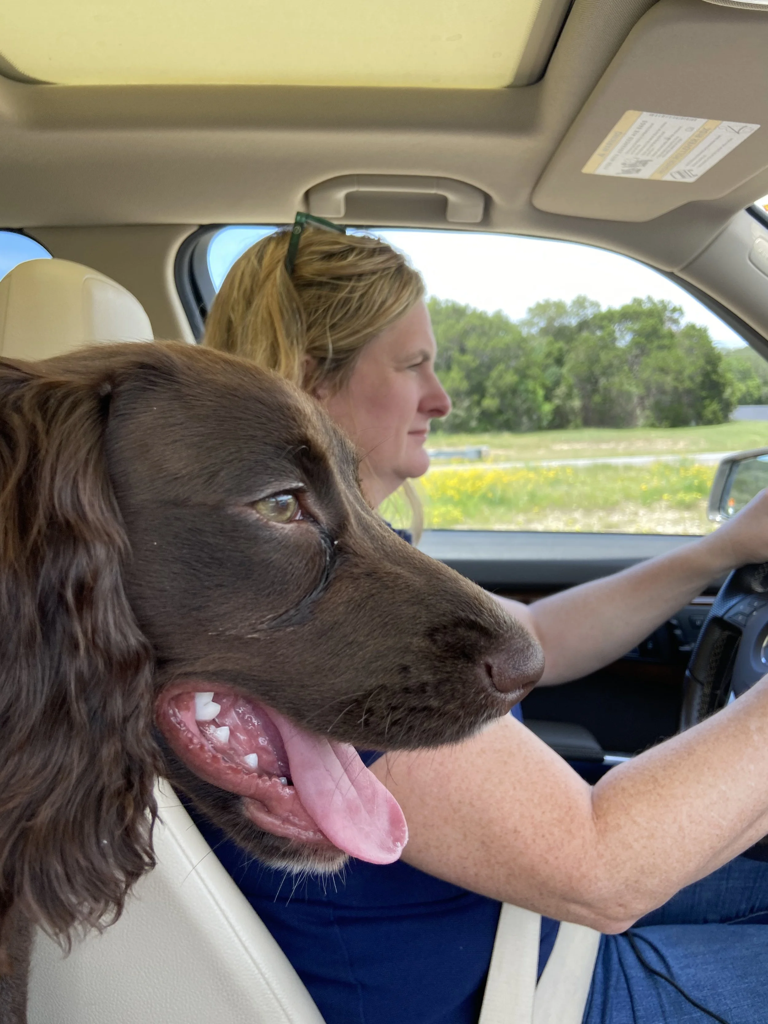 Lanie Sepehri, "Canine Carpool," 2021. My mom drives me and my dog, Lizzie, to puppy school. Because my mom is a realtor, she has flexible hours and works from home. I'm grateful that her job allows her lots of time to spend with me, during which we