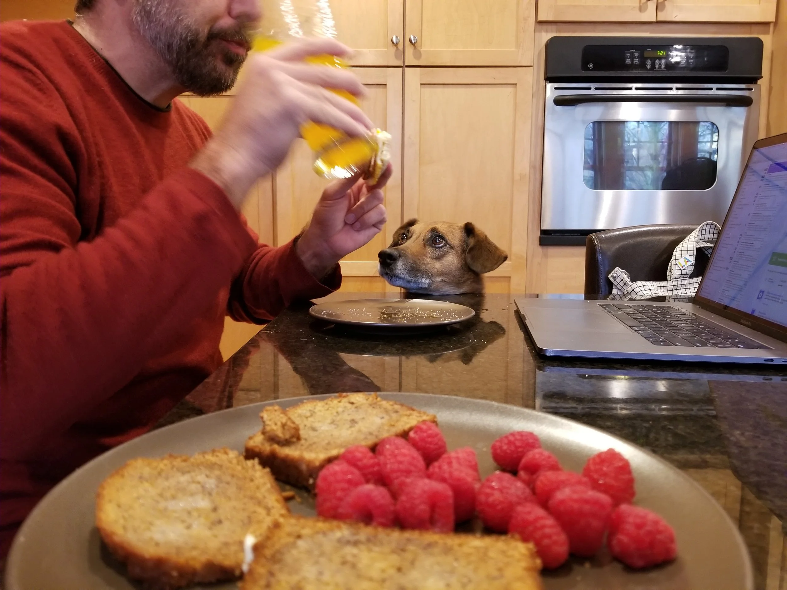 Ian Matenaer, "Breakfast Time," 2018. "Breakfast time is usually a time when my dad and I have time to connect and eat together. But today he had to work, which interrupted our family time. You can also see our dog Tick begging for food."