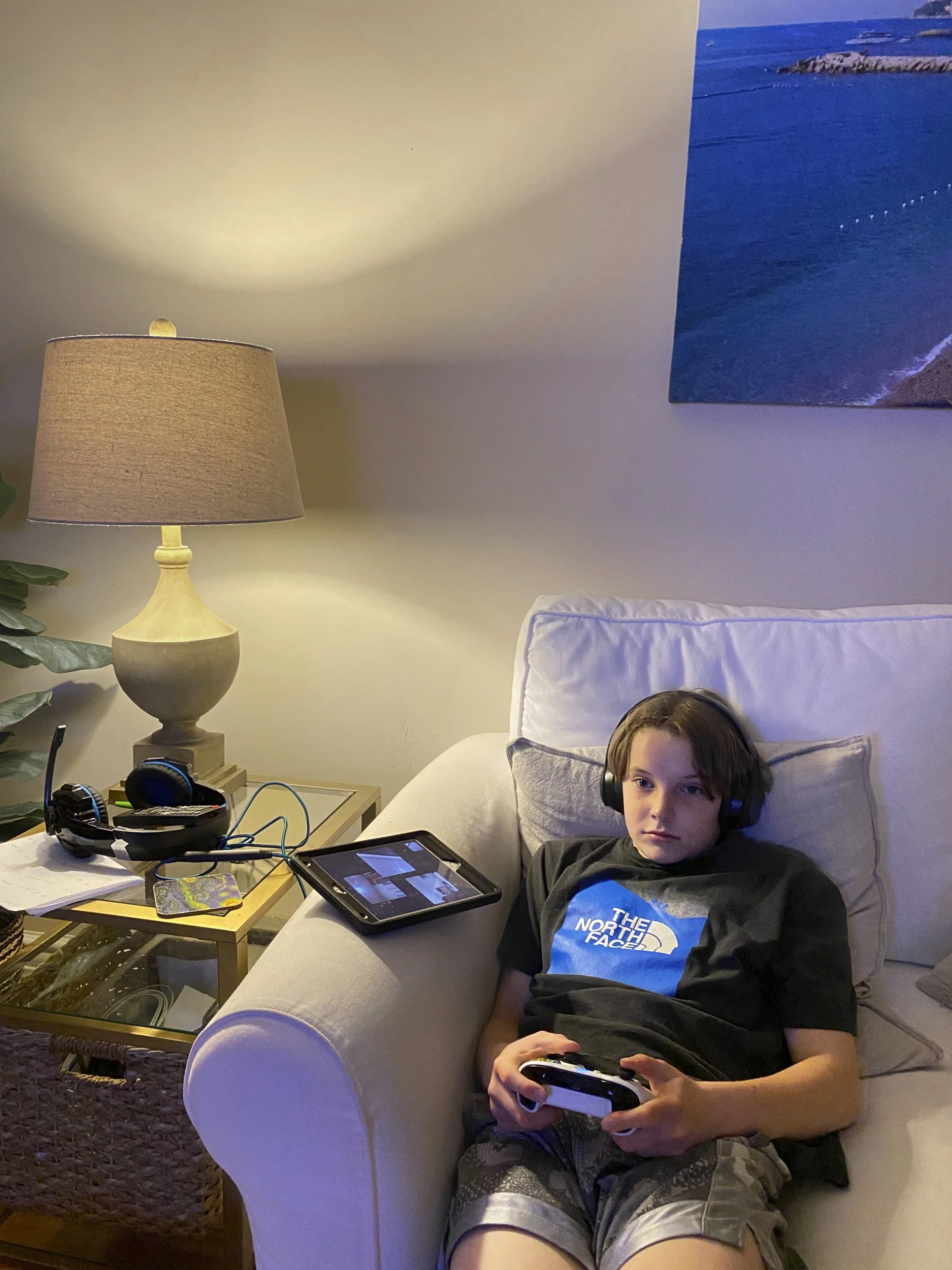 Ava Anderson, "Video Games," 2022.
When my brother comes home from school, he immediately runs to our Xbox to play video games. He is eager to play games when he is done with a long day of schoolwork.