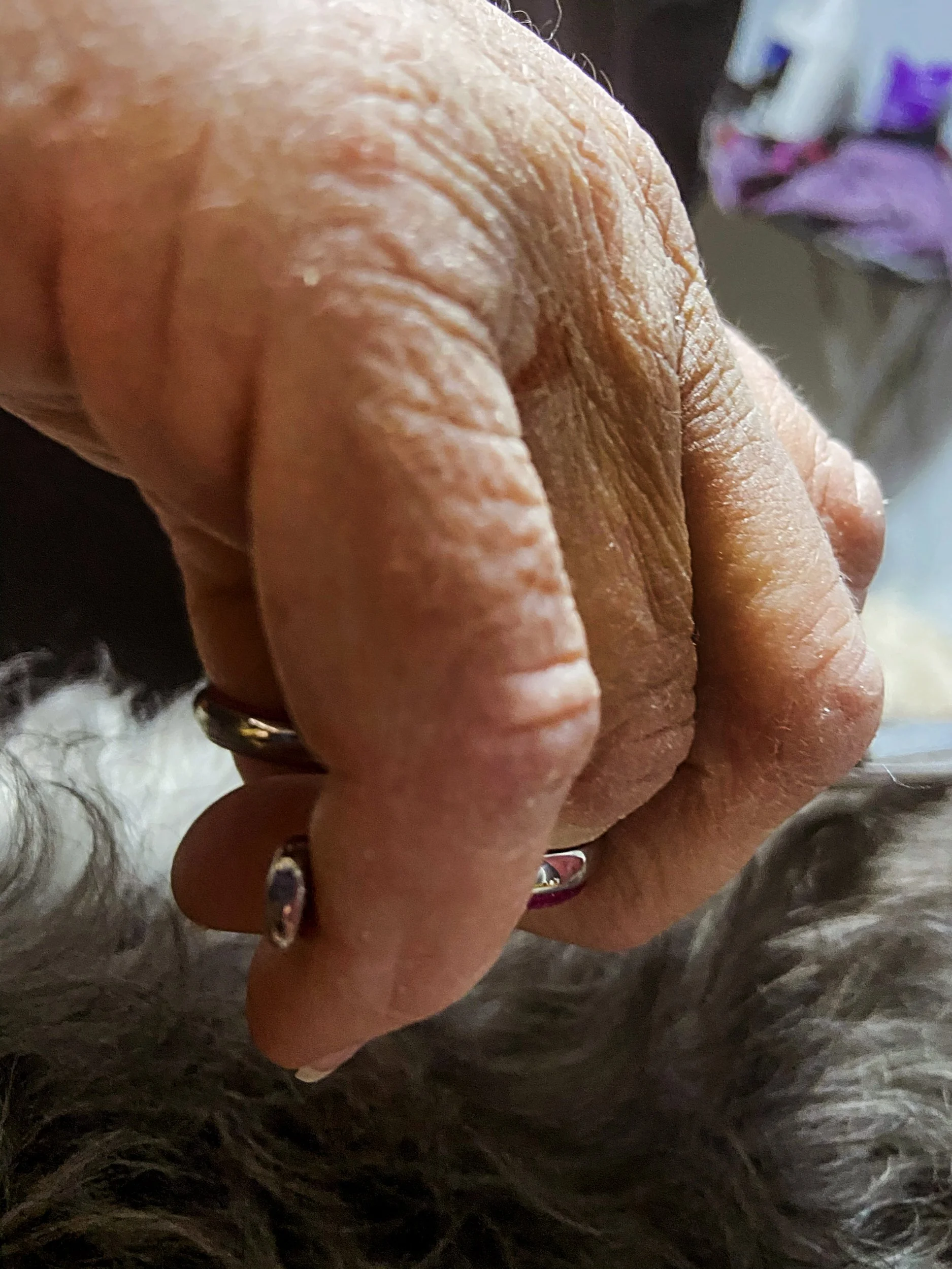 Jessica Keegan, "Over Worked," 2021. My mother's hands, after doing her 8-hour shift of being a dog groomer, are rough, dry, and flakey. Once she gets home from work, she keeps working for additional money.