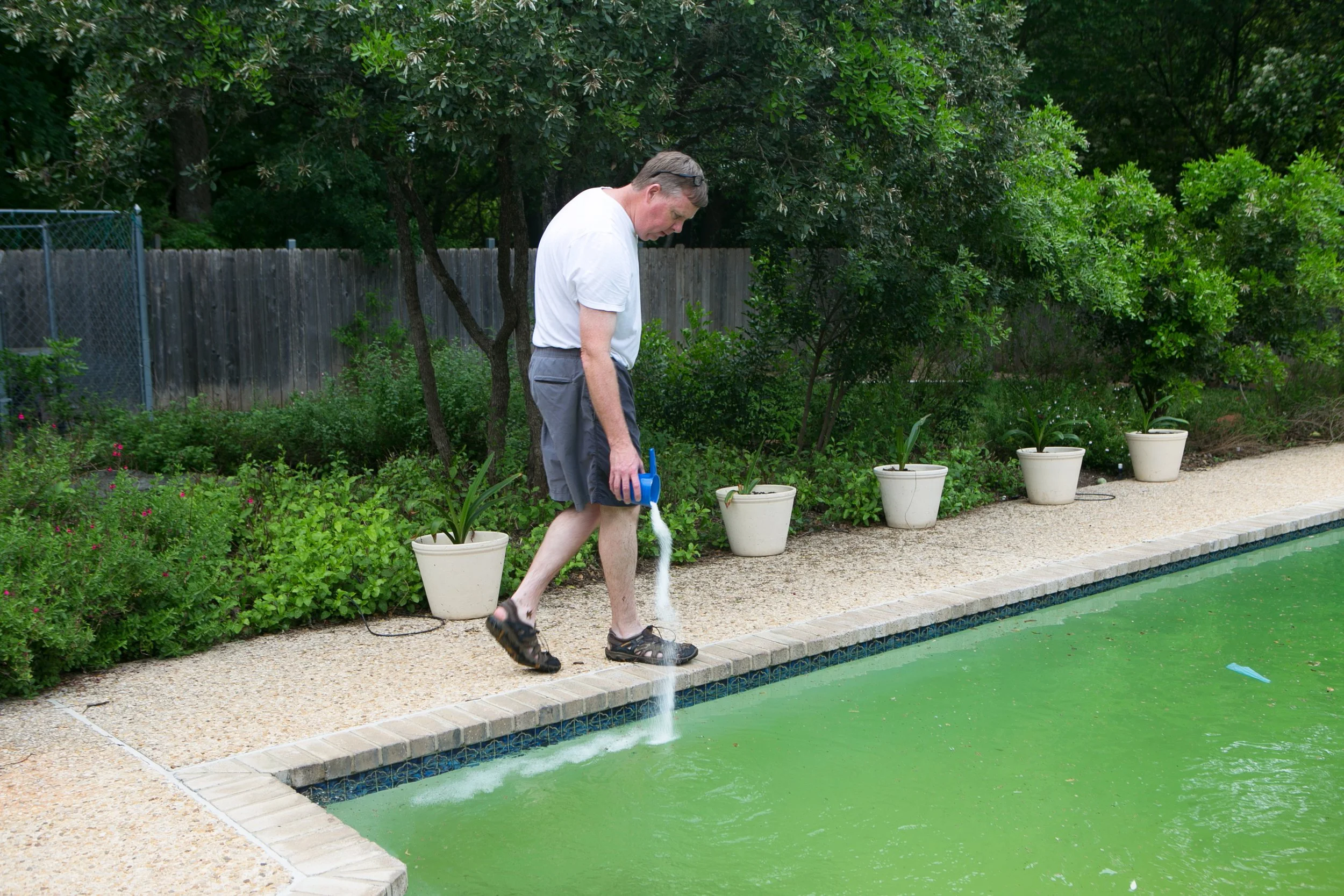 Mary Corrine Archer, "Untitled," 2018. "My dad pours chemicals into the pool to kill the algae. He likes to do work around the house and make everything look nice."