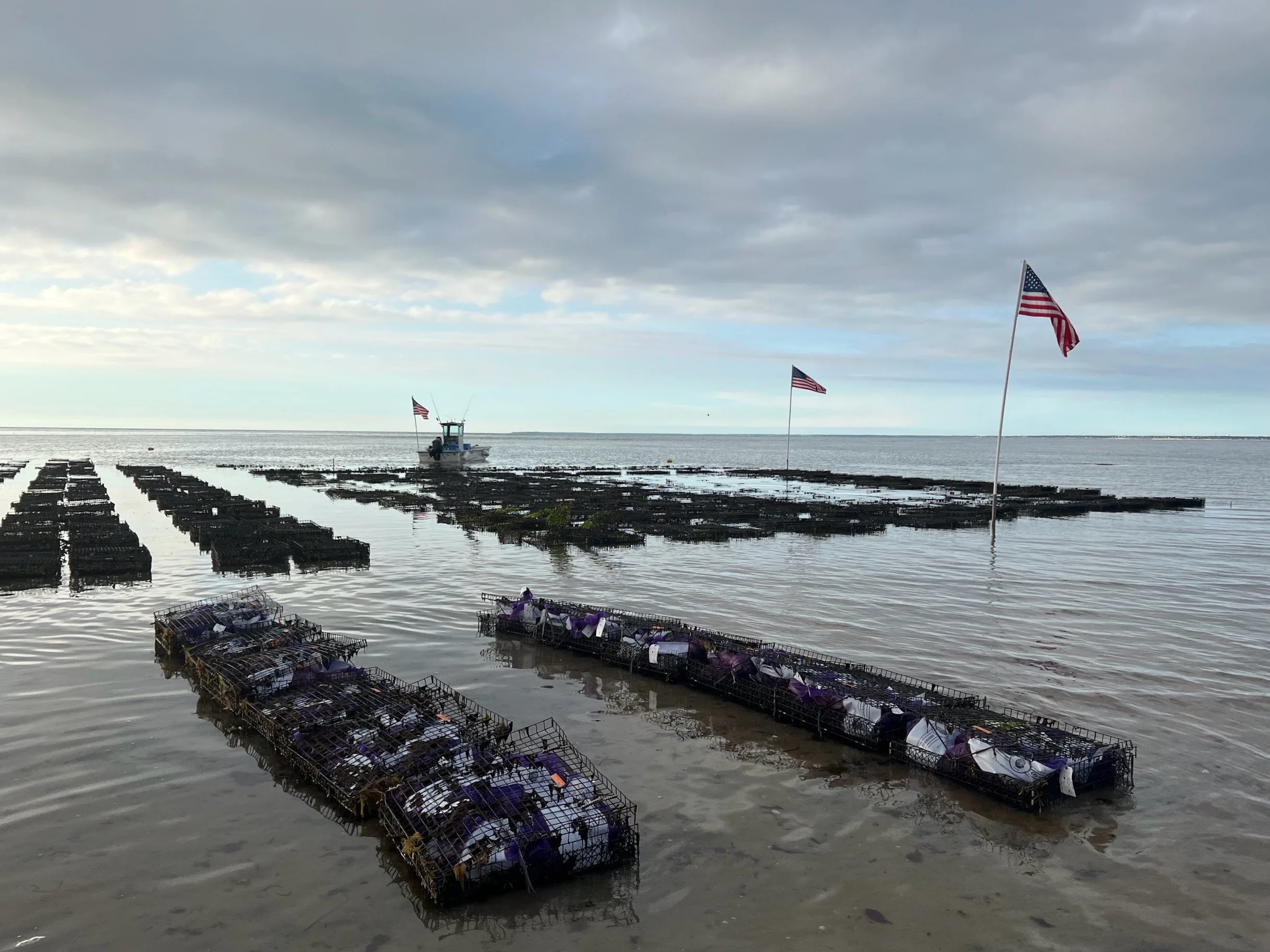 Addie Parrott, "Life On The Flats," 2024. 
The world is always chaotic for everyone, but for me, it's especially overwhelming when I have a lot going on in life and a big family, with everyone being pulled in different directions. I am the youngest o