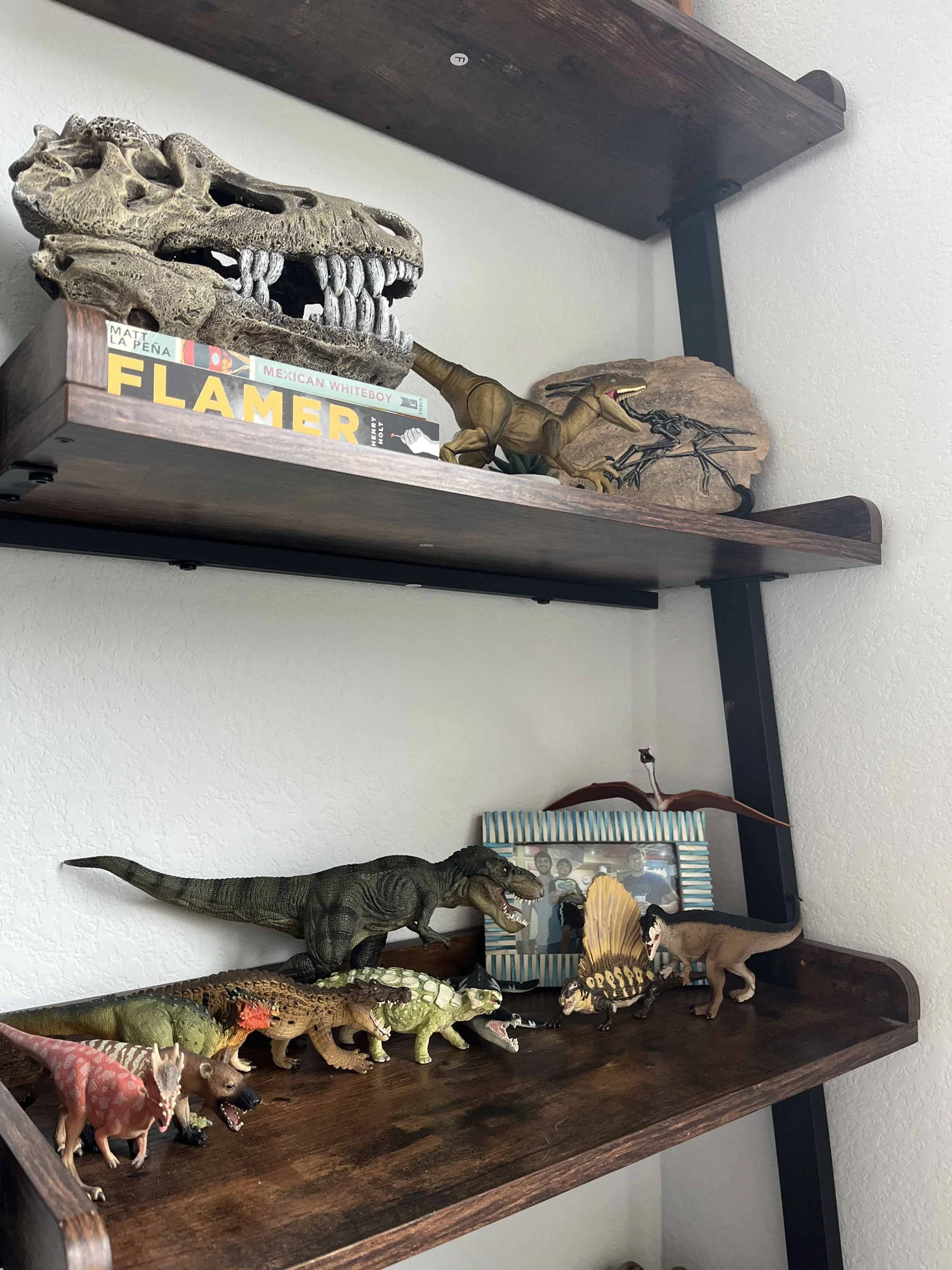 Kyan Adams, "The only work for me," 2023. Since age 3 or 4, dinosaurs have filled up my room. I have always wanted to be a paleontologist because of my love for all species, extinct or extant, and their amazing biology, and it hasn't changed from the
