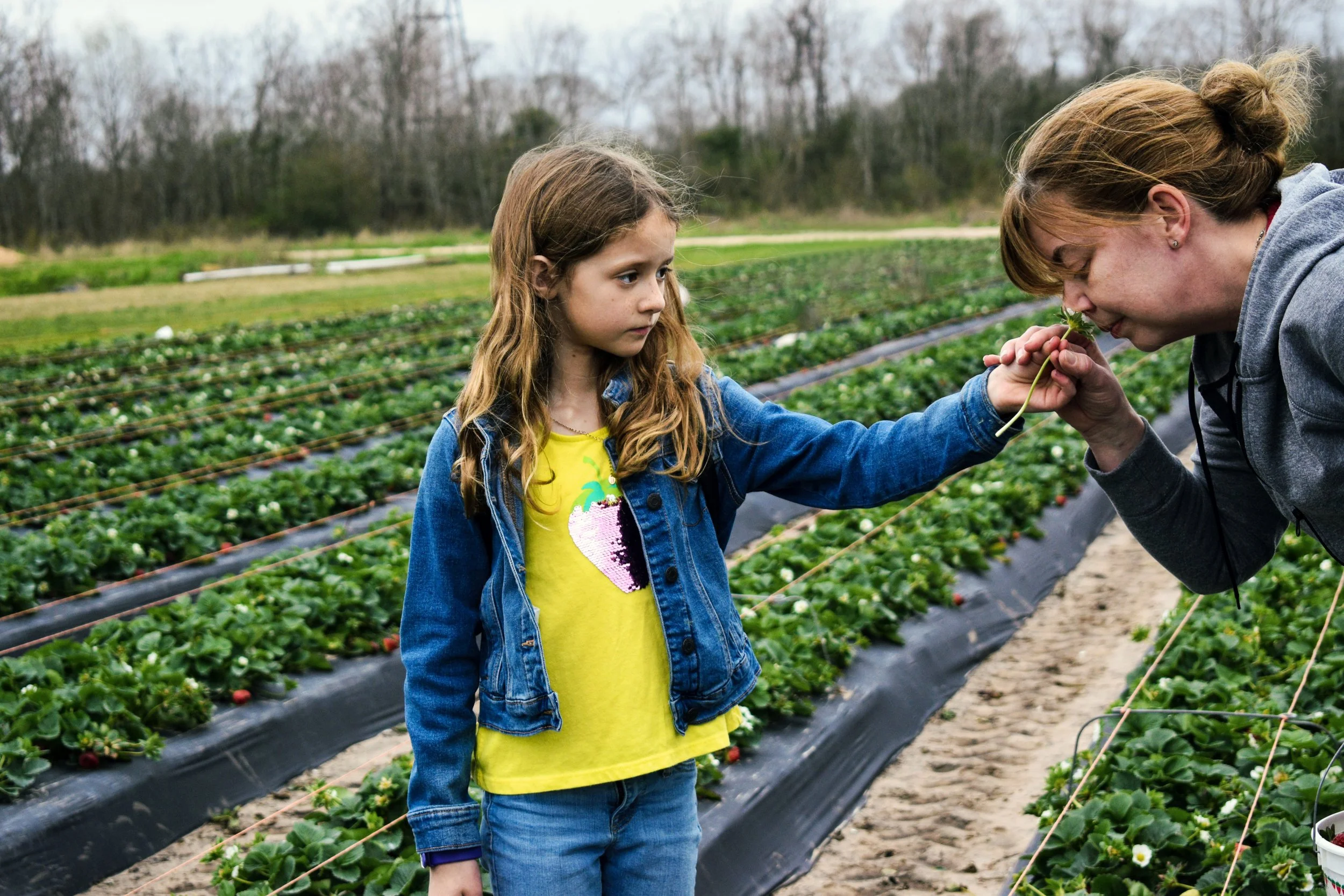 Savannah Adamson, "Weekend Exploration," 2019. "Over the weekend, when my parents were off from work, we took some time to go to a farmer’s market. I wanted to capture the beauty of the environment we immersed ourselves in and how we interact with it