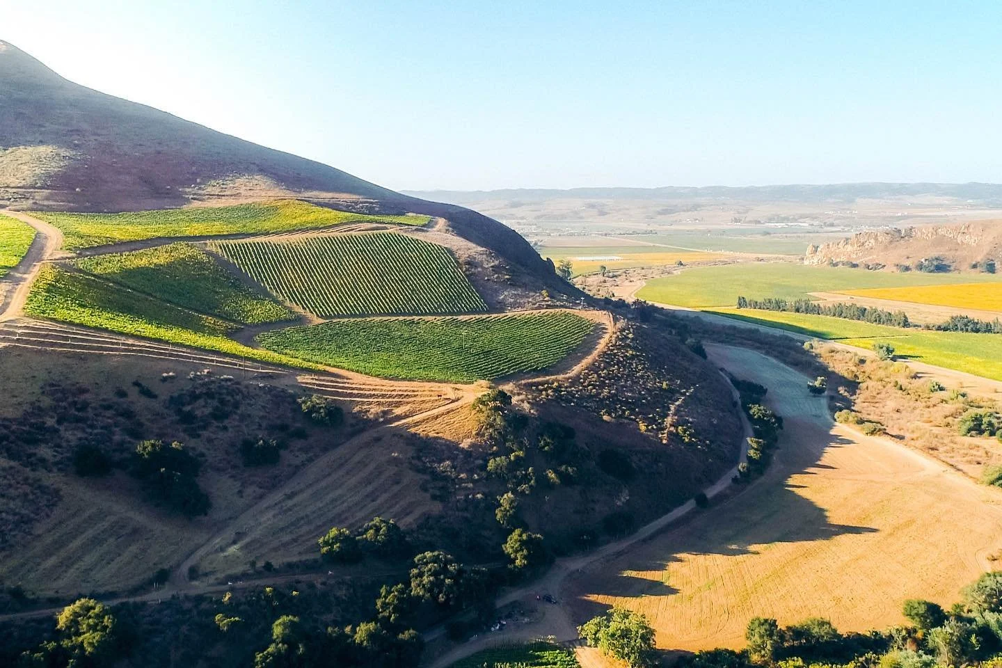 We&rsquo;re thrilled to see two of our amazing clients, @BienNacidoEstate and @Sangiacomowines, recognized in Food &amp; Wine&rsquo;s latest article on California&rsquo;s most important vineyards! Both are named among the top 16 vineyards enthusiasts