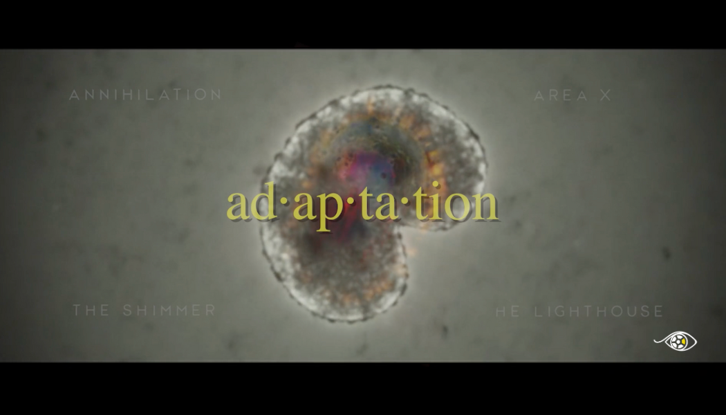 ad-ap-ta-tion (The Essay Library Anthology, Vol. 7)