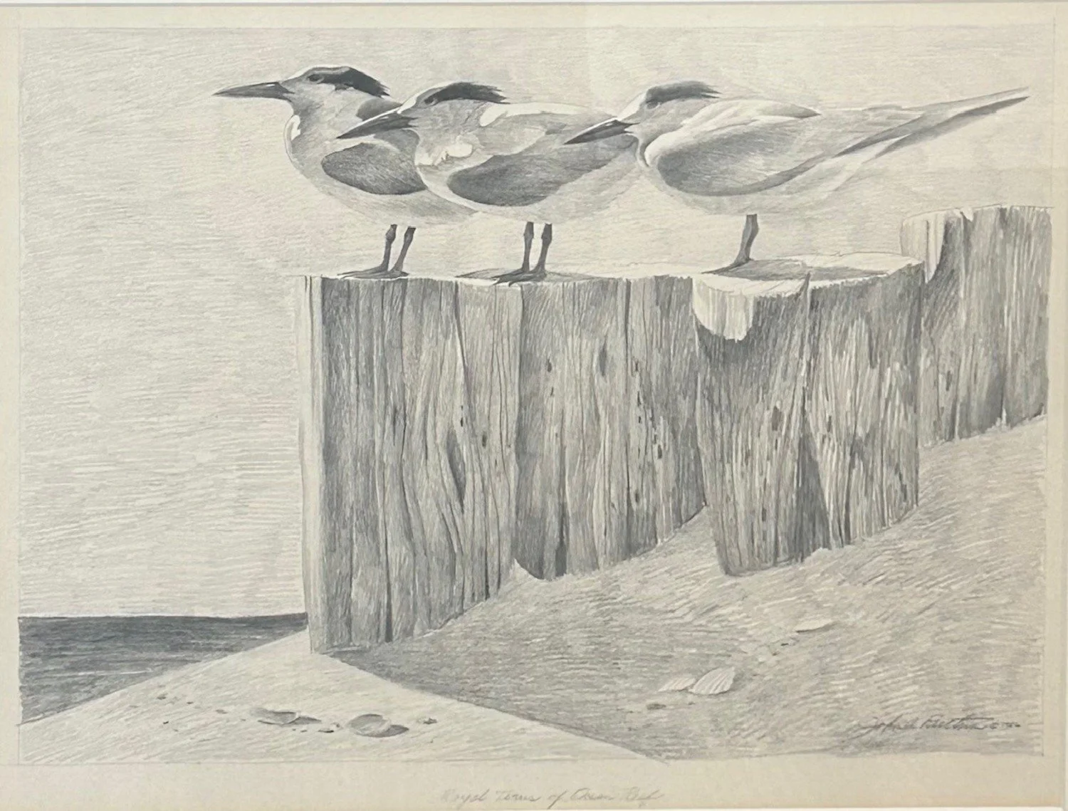 John A. Ruthven - Royal Terms of Ocean Reef, 1982