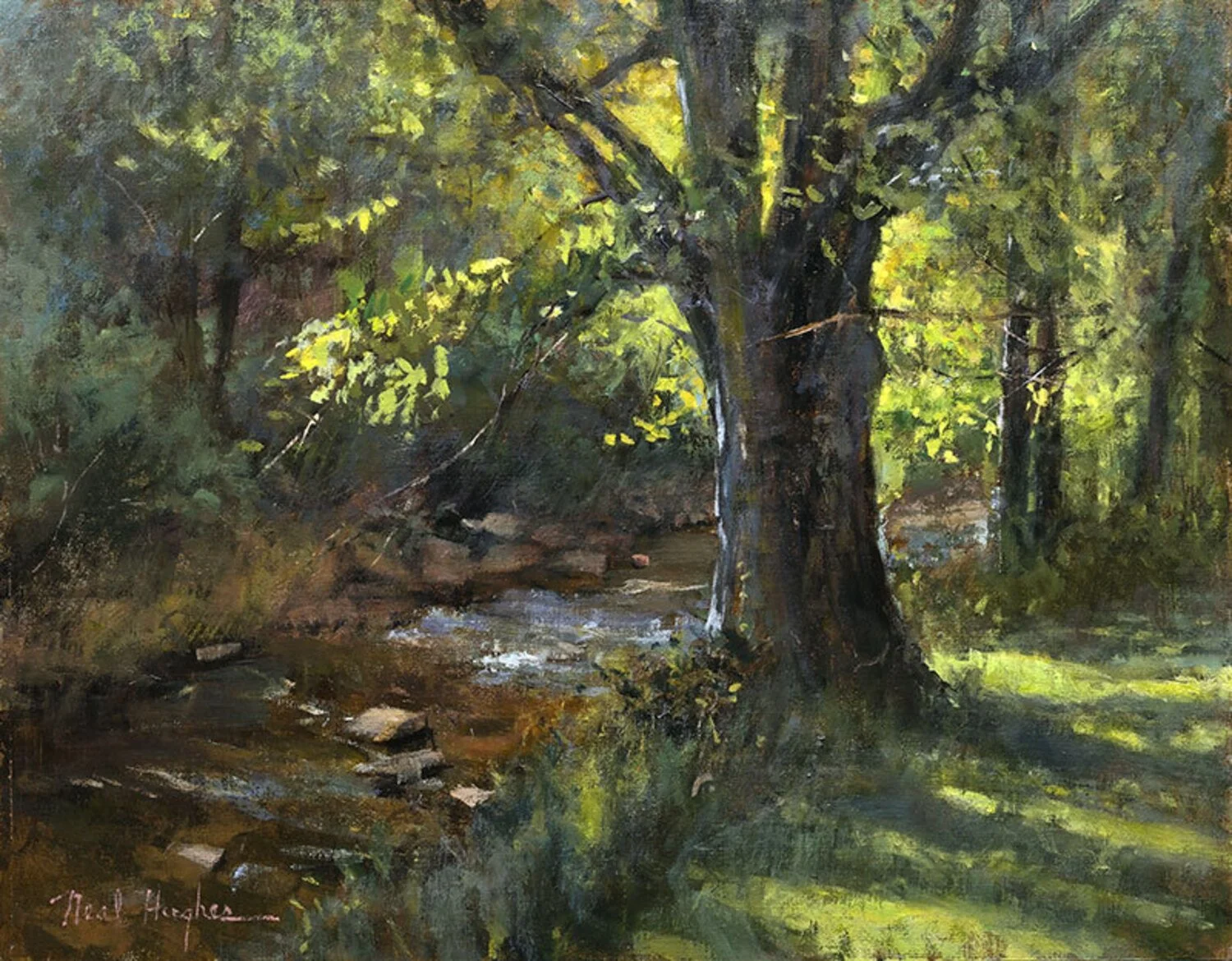 Neal Hughes - Touch Of Sunlight