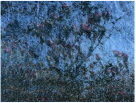 Celene Hawkins - Elegy, 2018-2025