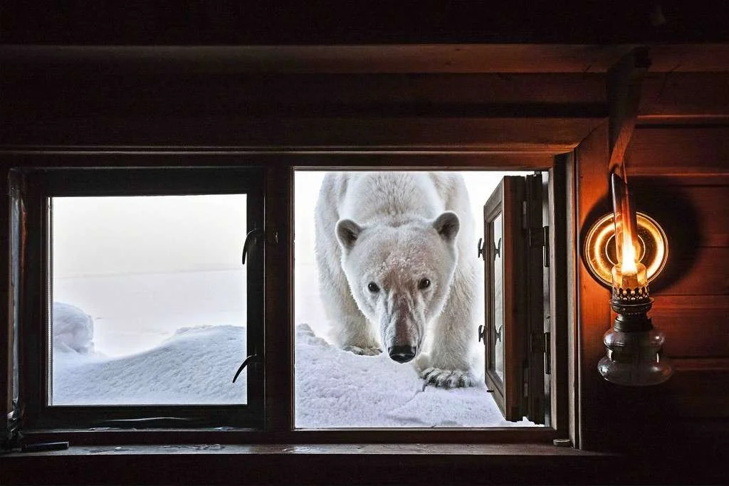 Paul Nicklen