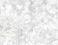 Celene Hawkins - Botanical Dream in White, 2025