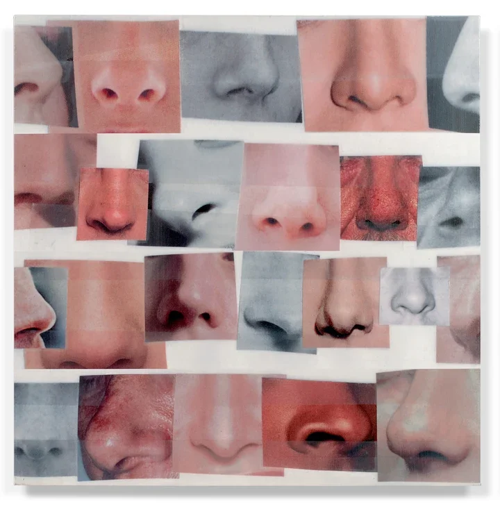 McGinnessModelHands Noses.webp