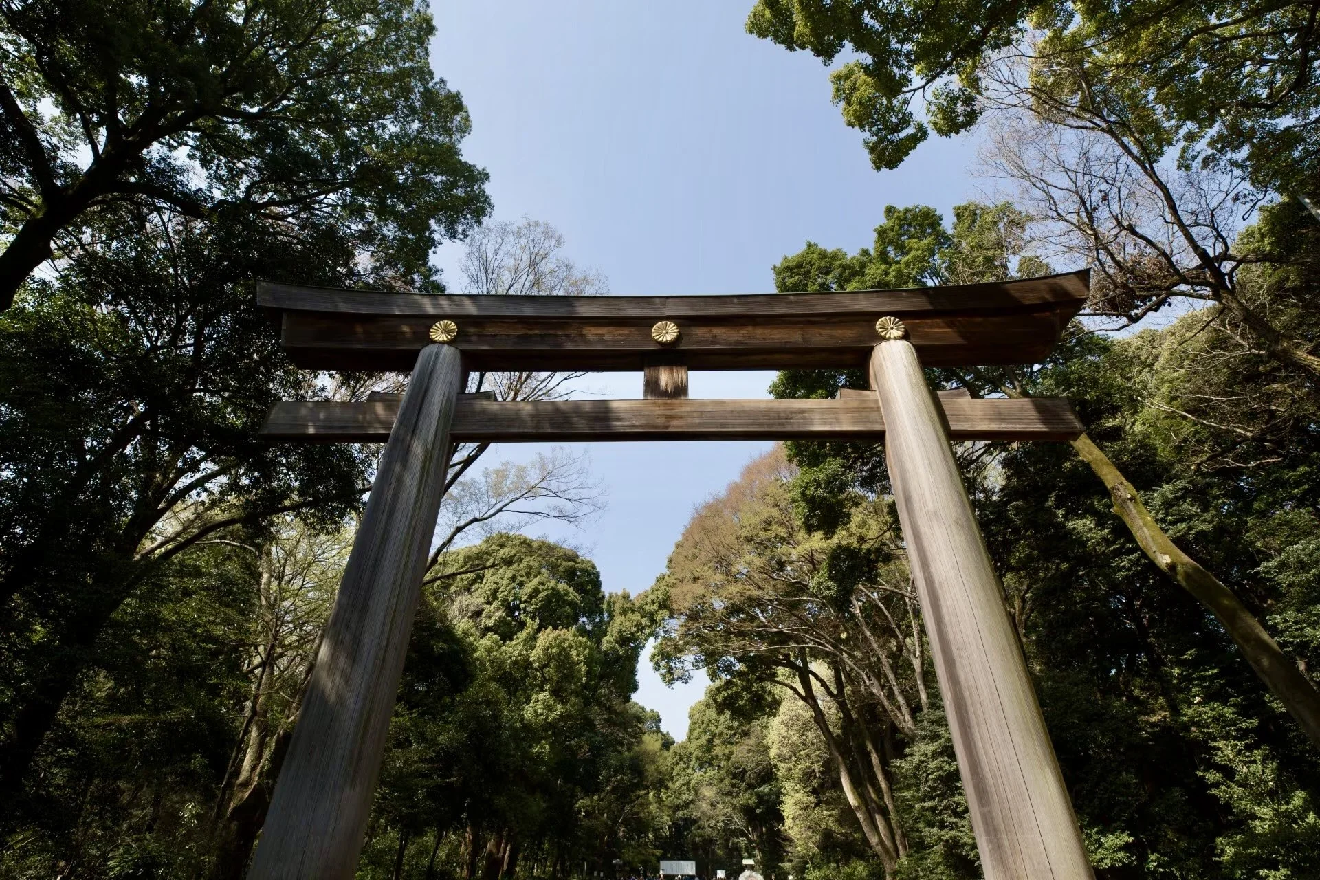 An Elemental Guide to Japan 🗾