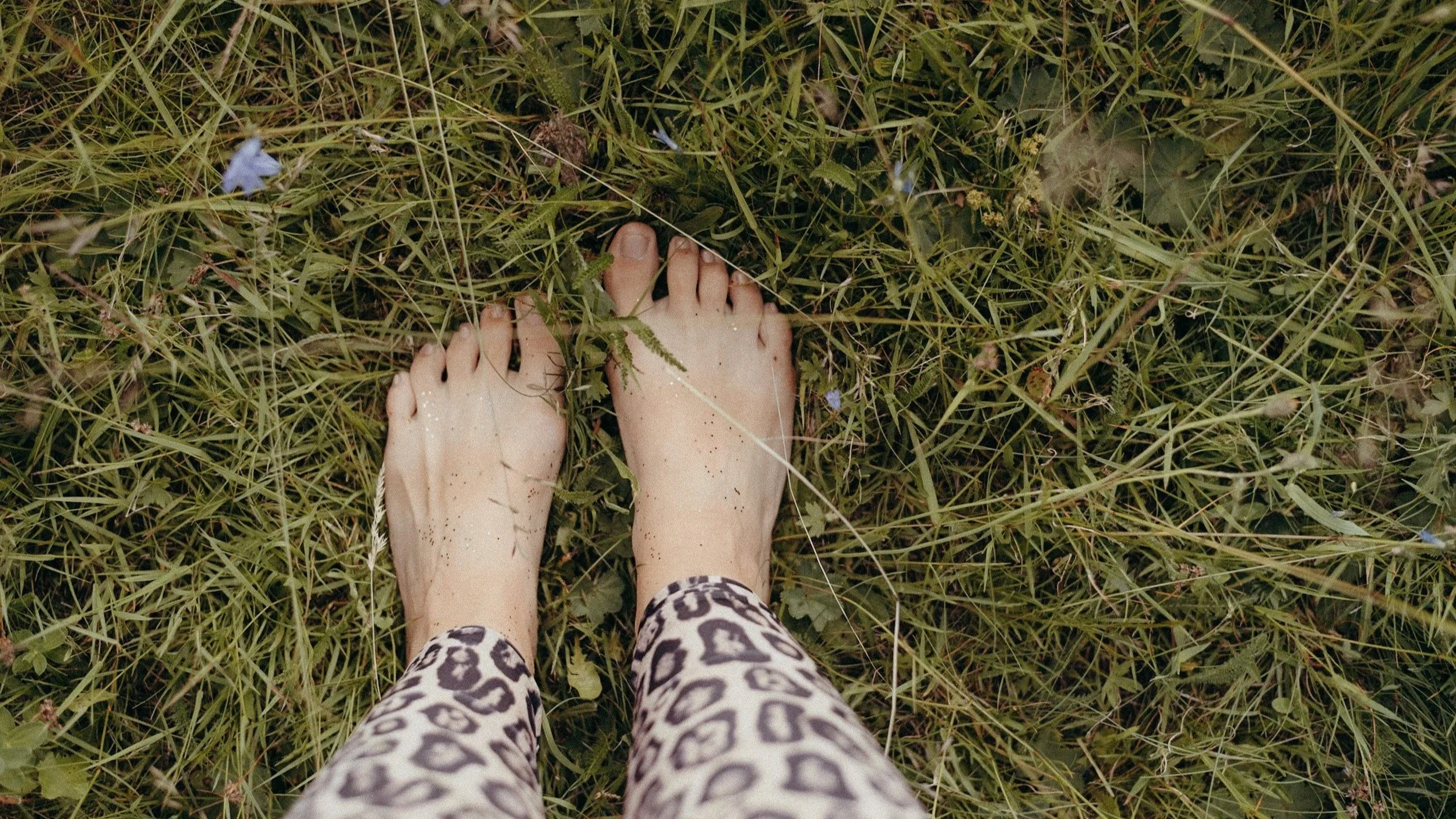 Women's bare feet  grounding on grassy patch