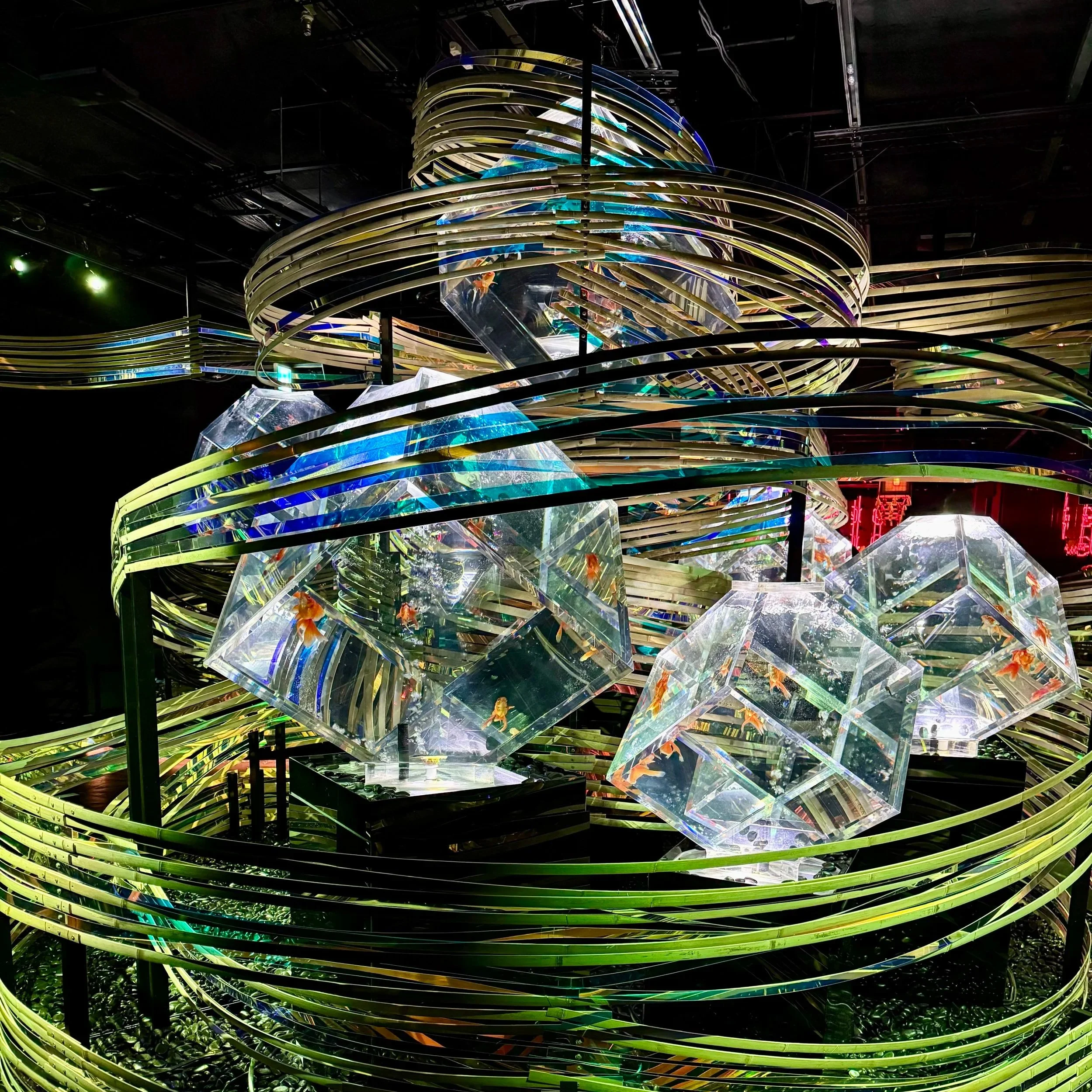 Immersive Goldfish Art Aquarium