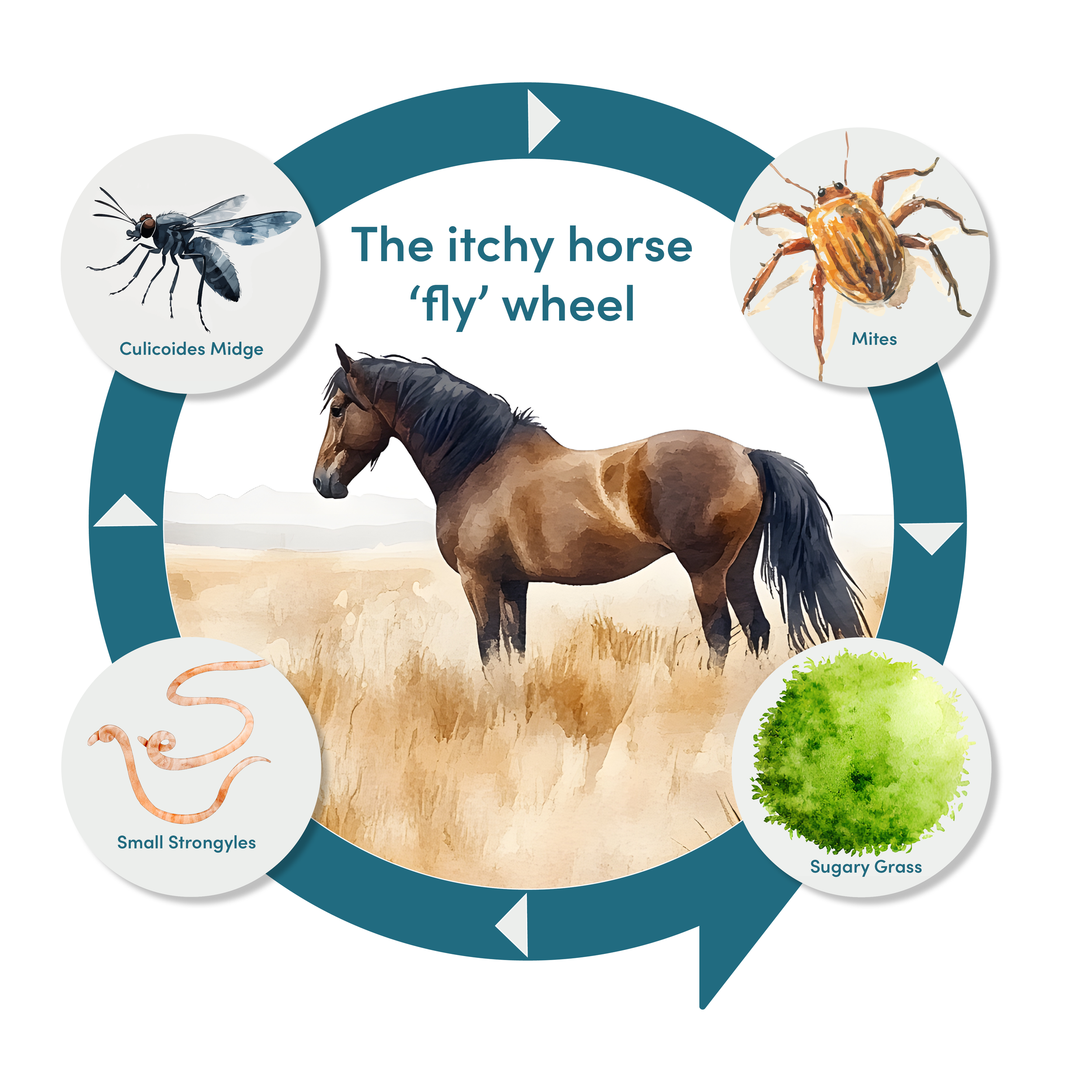 The itchy horse ‘fly’ wheel