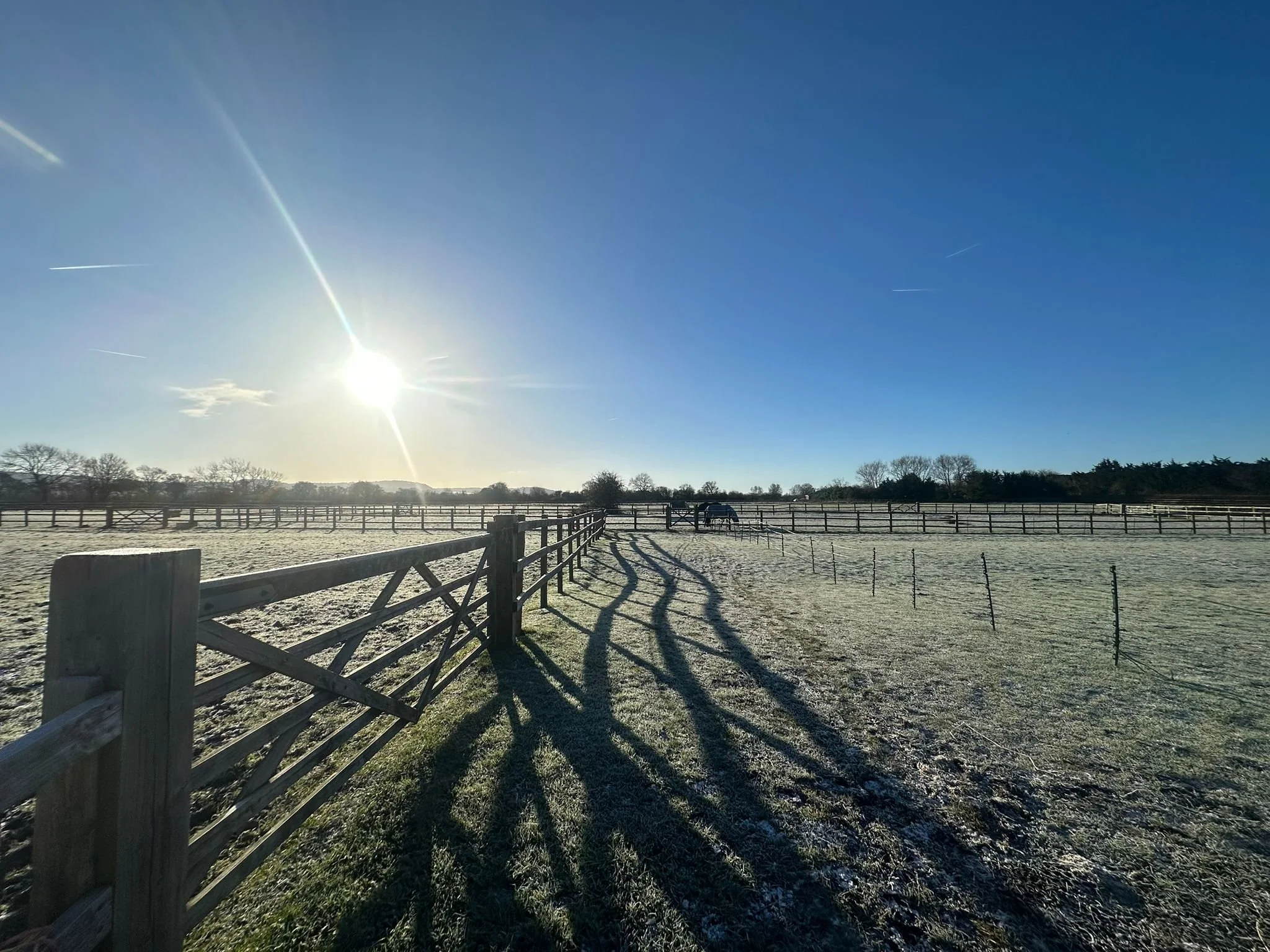 Winter wonderland - or a fresh challenge for the immunocompromised horse?