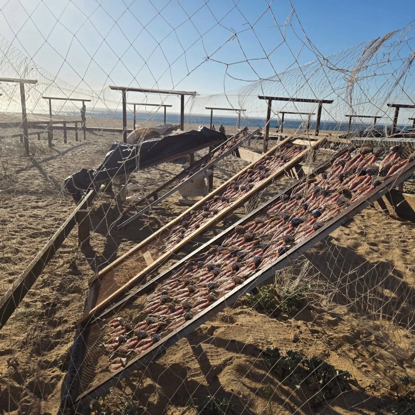 Working on a story about a fisherman's daughter in Portugal.