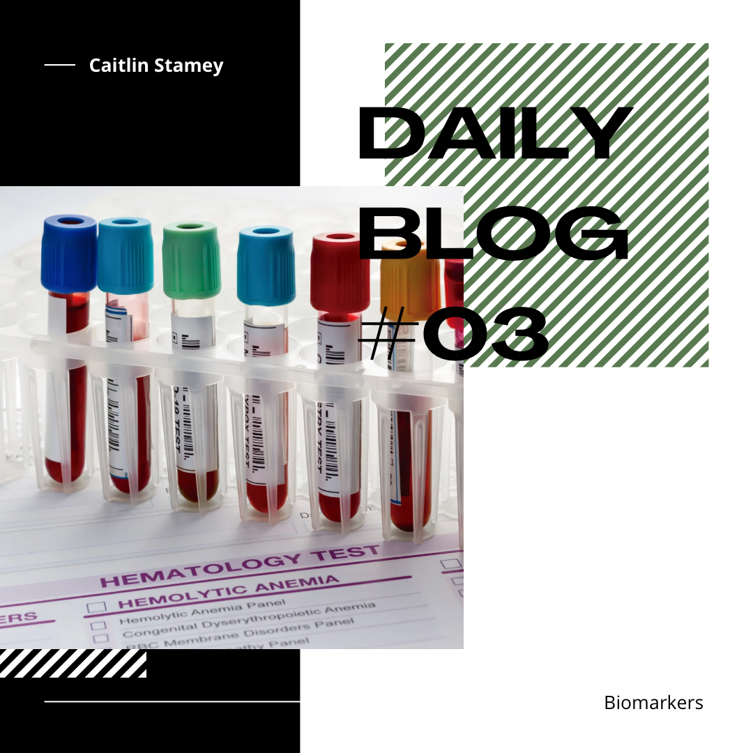 What Your Bloodwork Is Actually Telling You (That Your Doctor Isn’t)