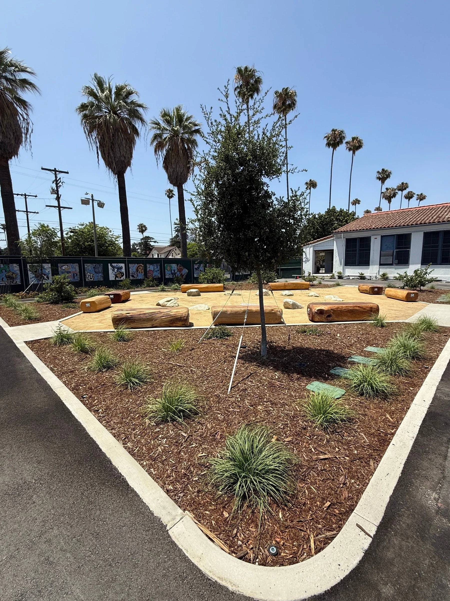 Young trees and landscaped planting beds beside the schoolyard gathering area.