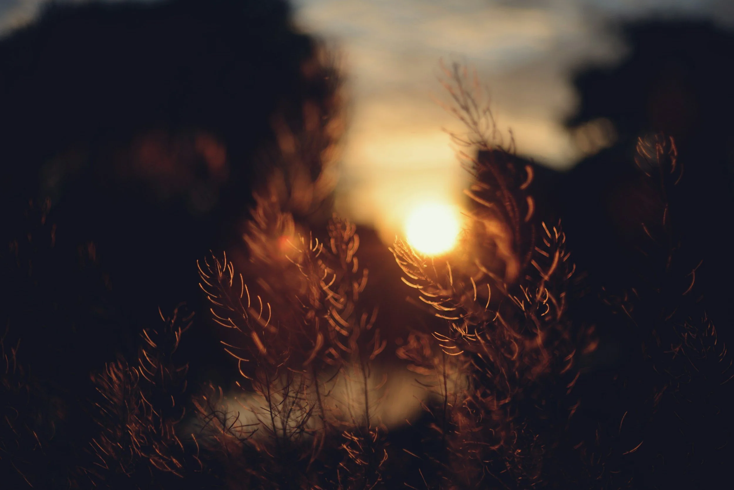 Slow Summer Evenings