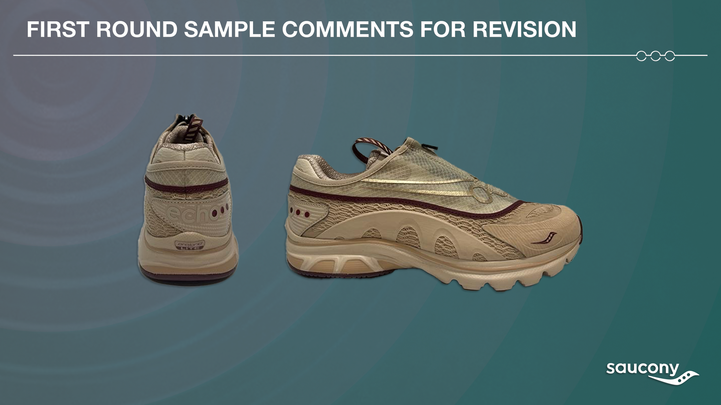Echo First Sample Revsions Slide.png