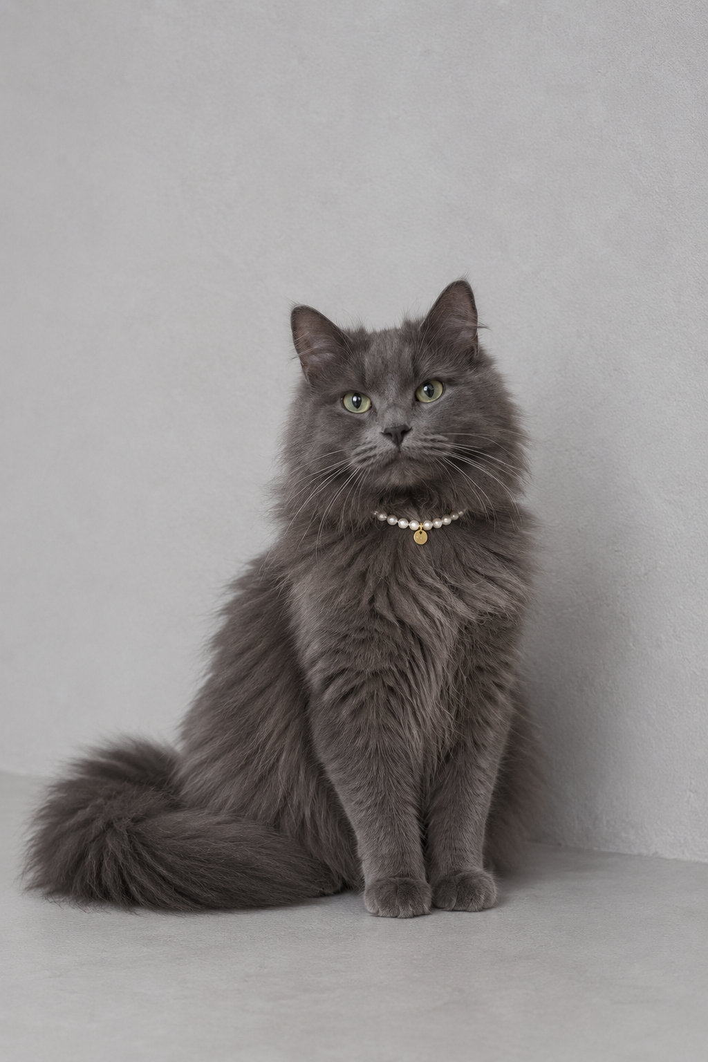 88c74460-a7a6-43b8-bc51-08201eccb633.png