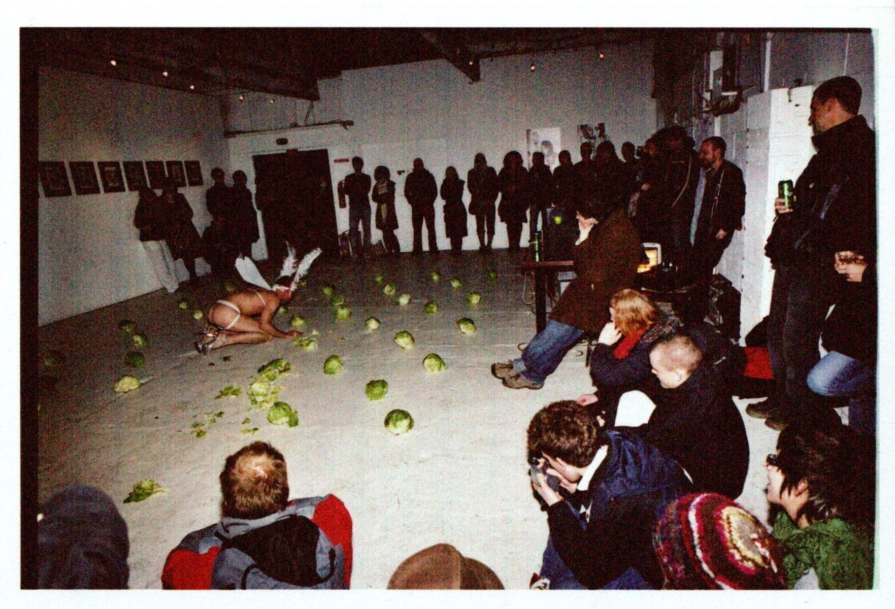 cabbage paul h .jpeg