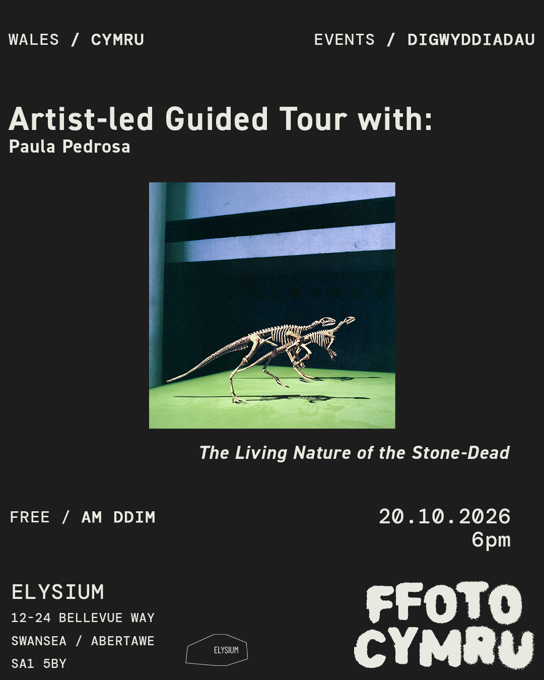 Artist-led Guided Tour with: Paula Pedrosa