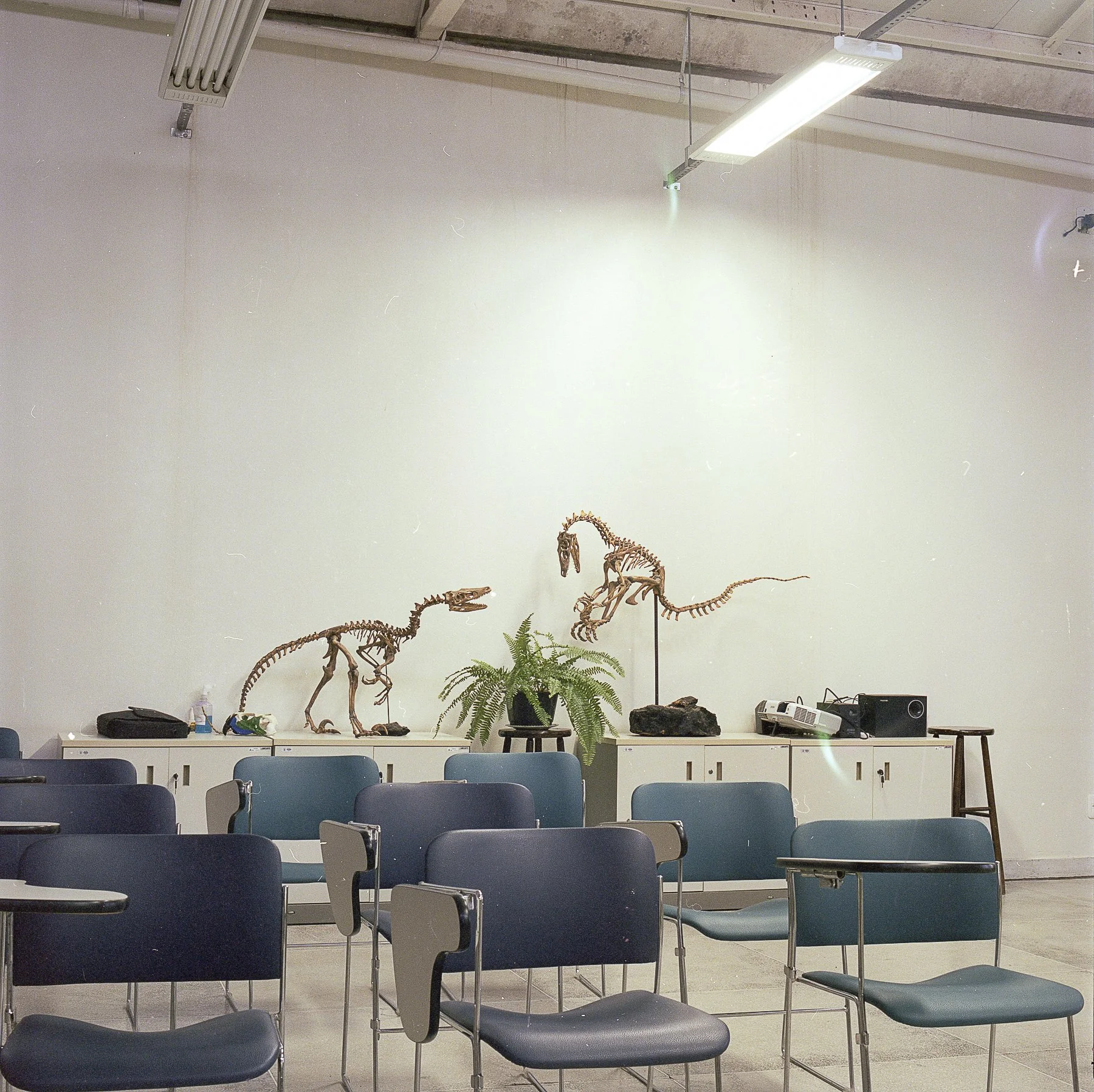 Feminist Library presents: photobooks and publishing - An exchange between Wales and Brazil