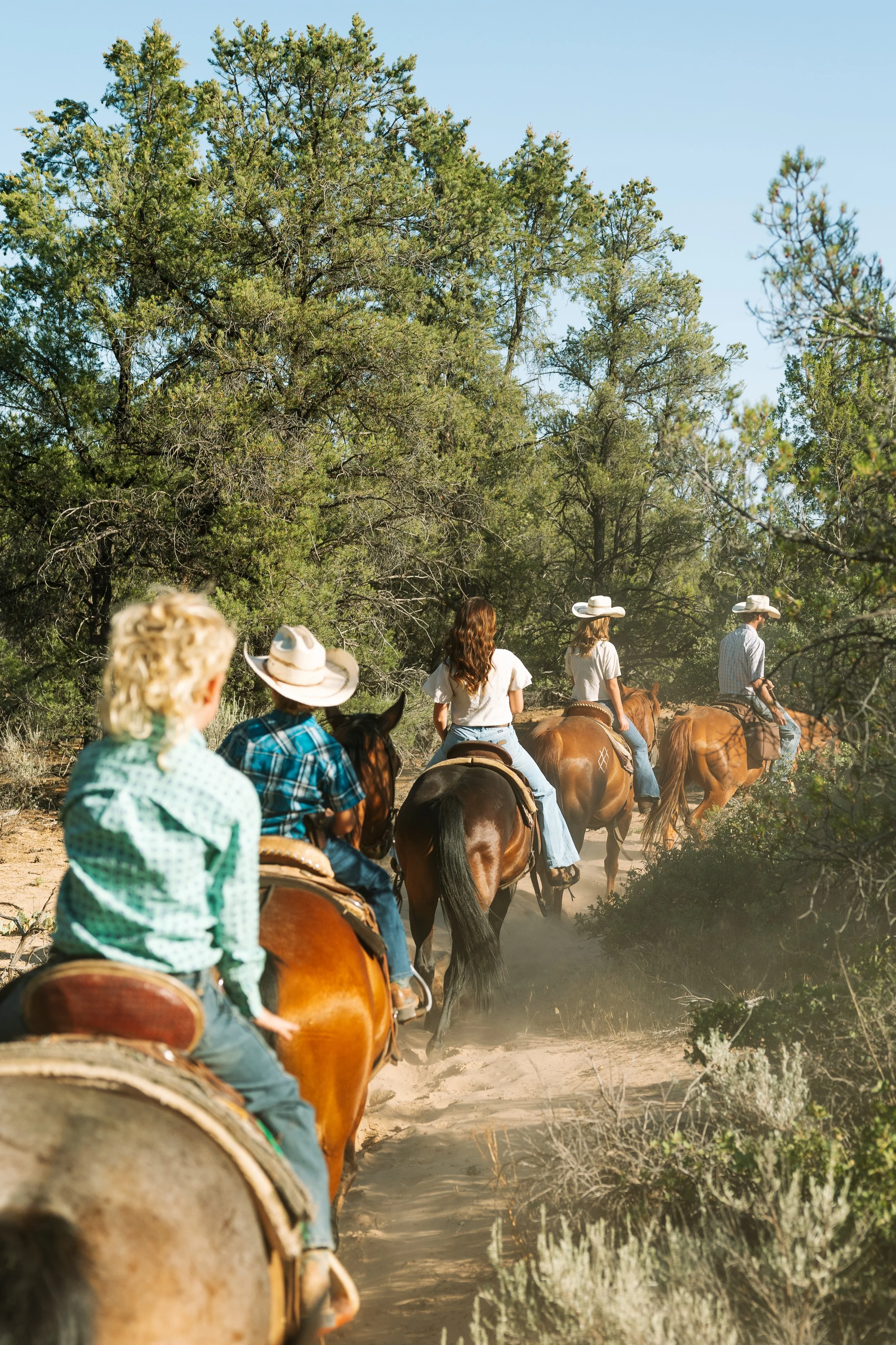 Western Horseback Trail Rides