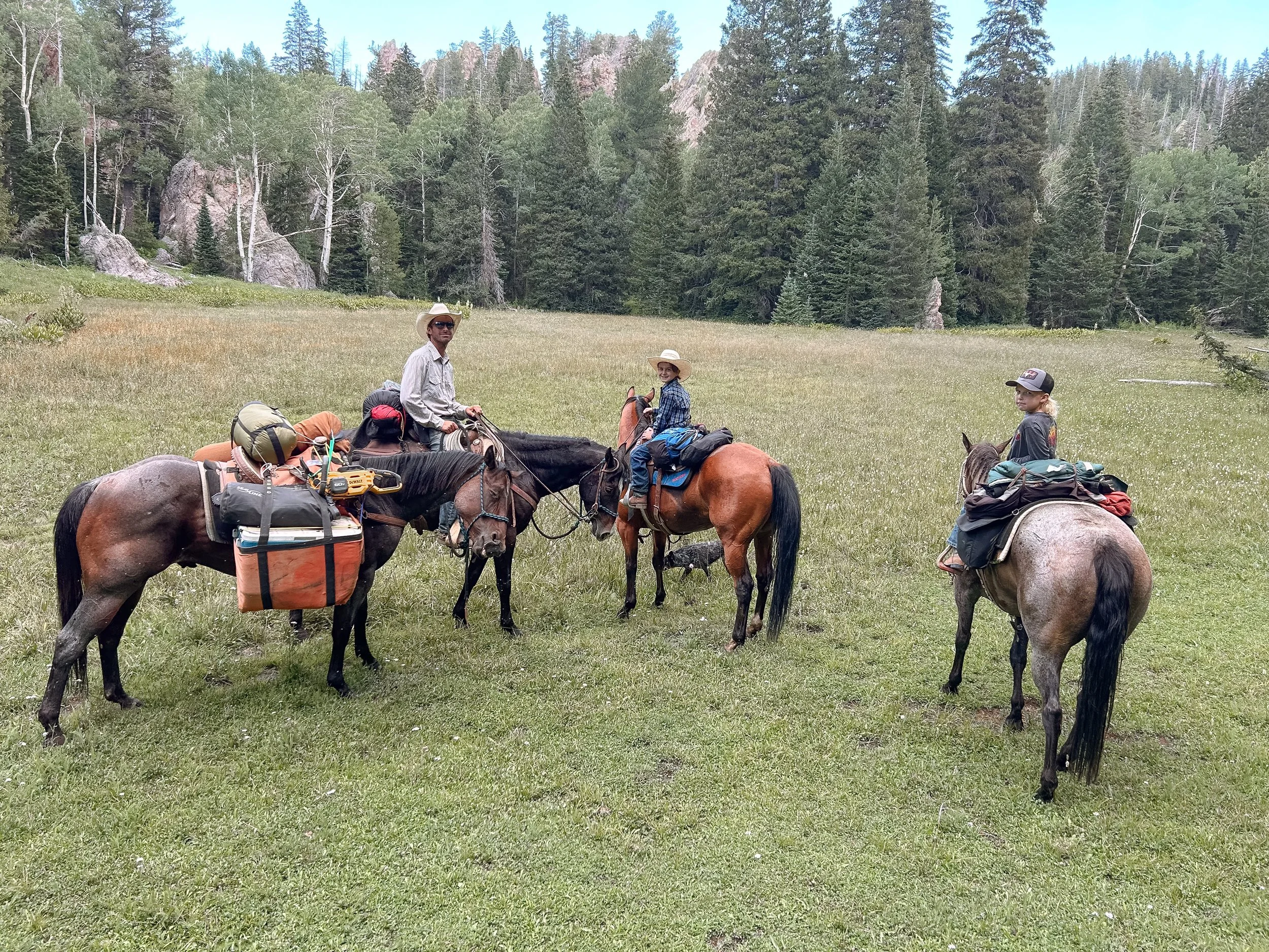 Western Trail Riders Western Horseback Trail Rides