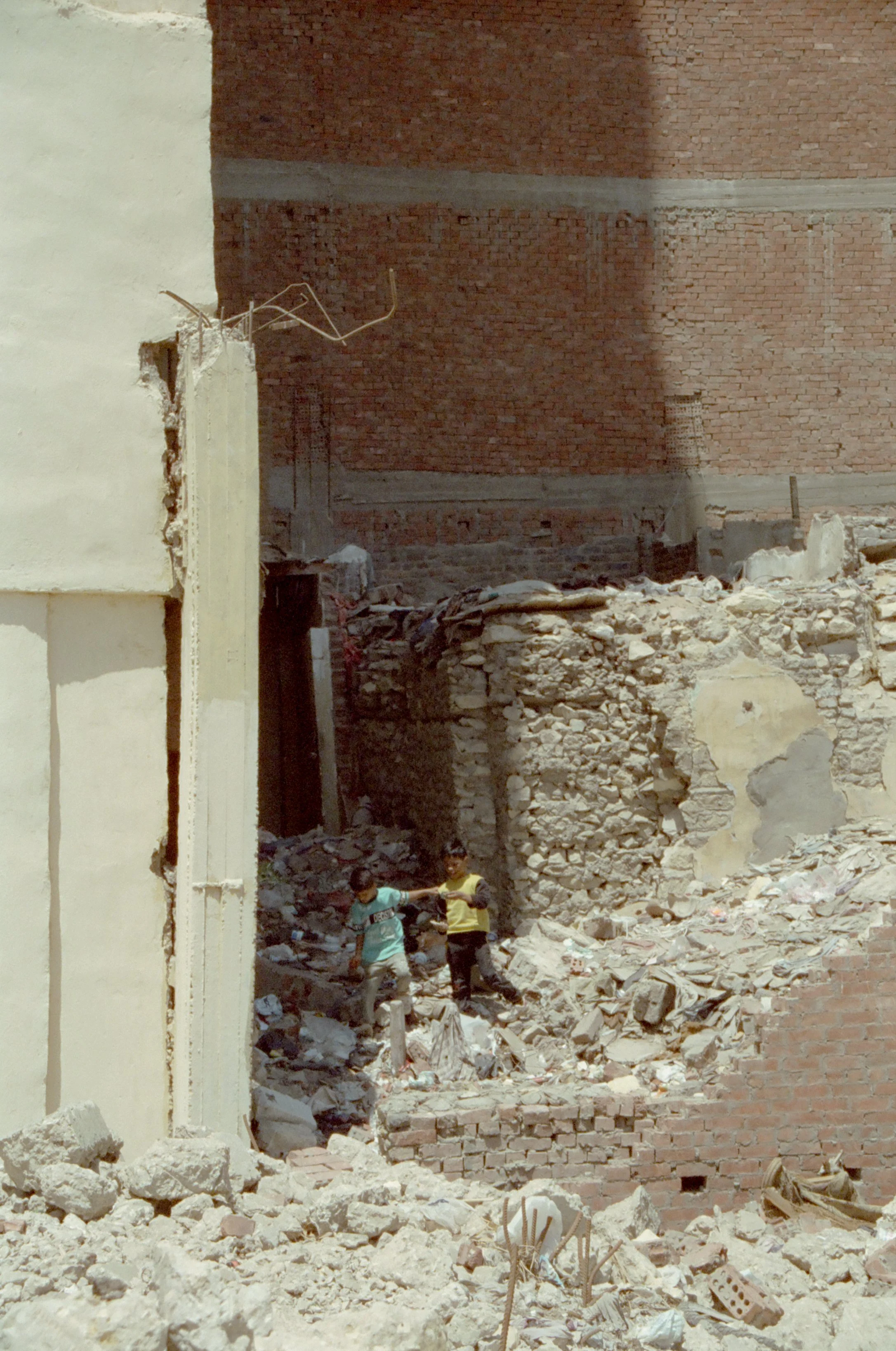 The Real Concrete Jungle