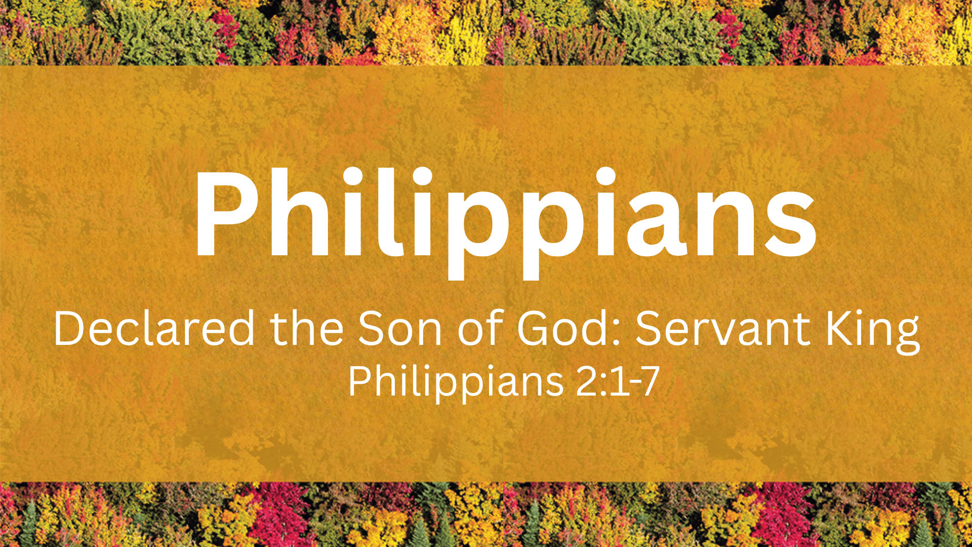 Declared the Son of God: Servant King