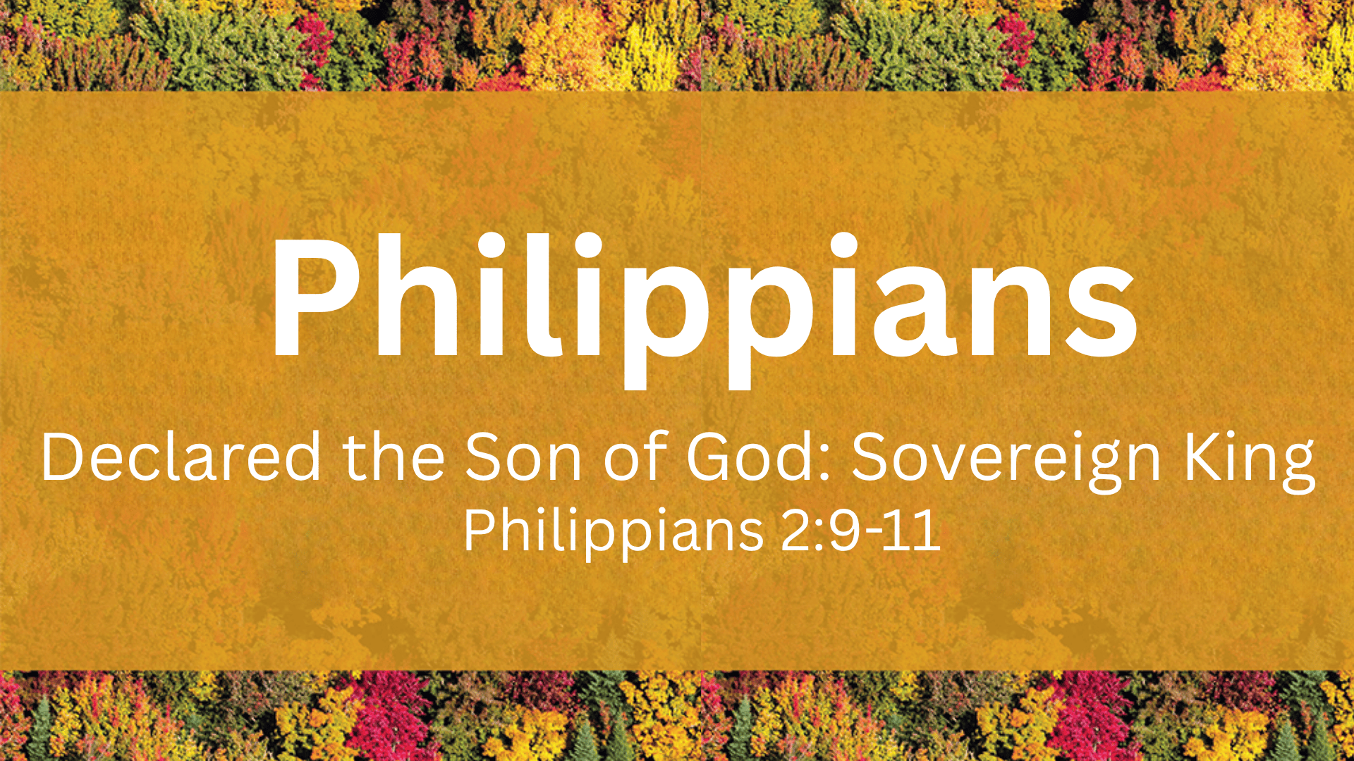 Declared the Son of God: Sovereign King