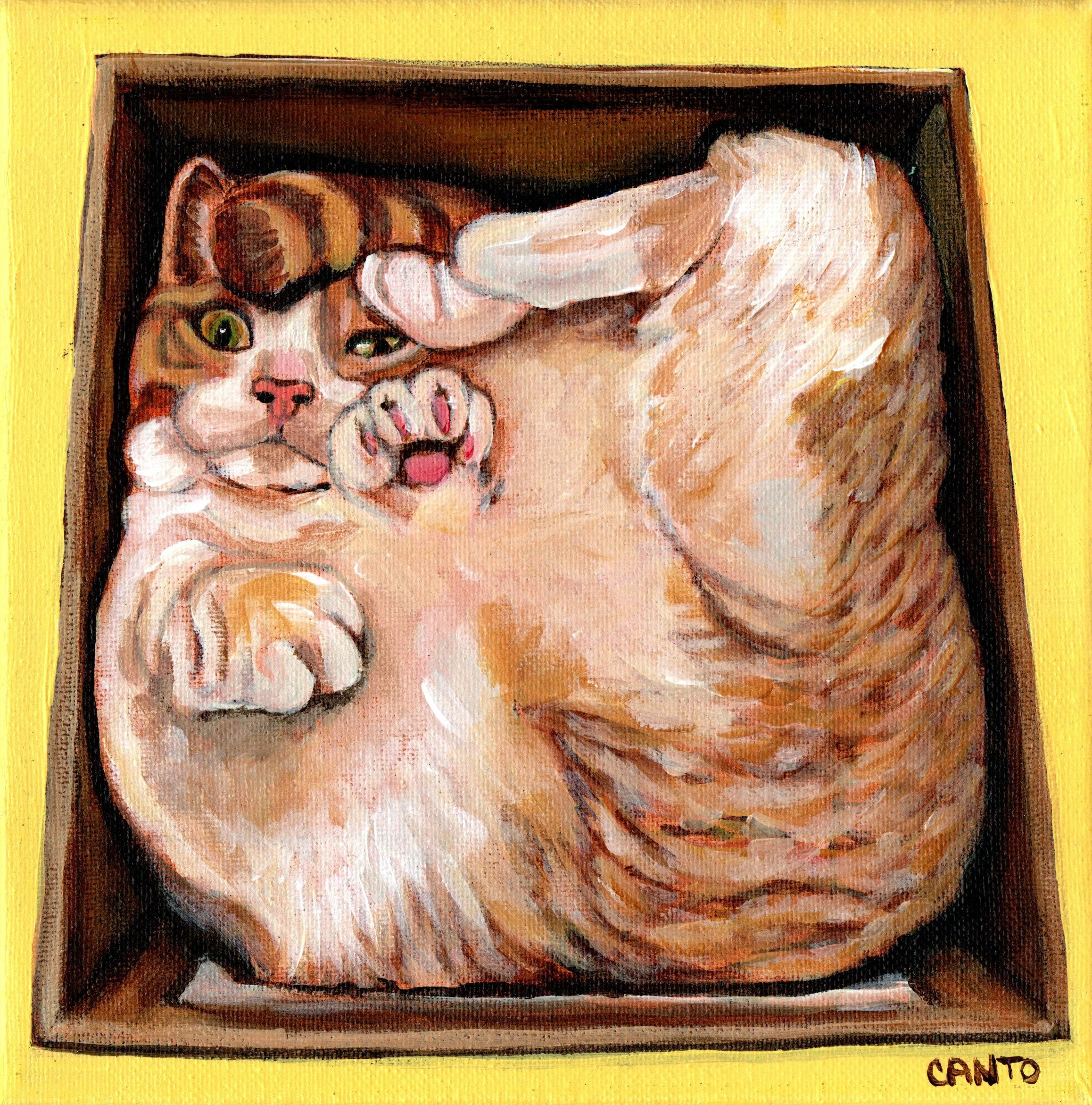 cat box scanned.jpg