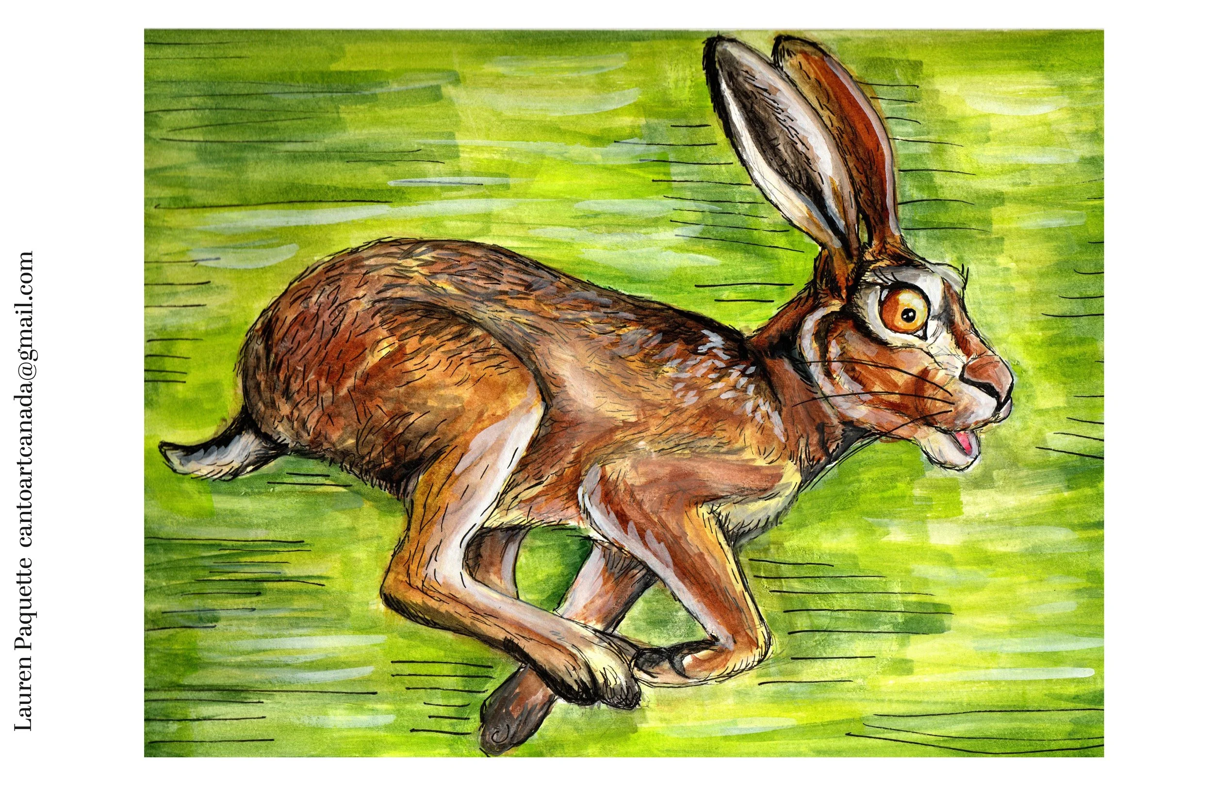 wide bunny 4.jpg