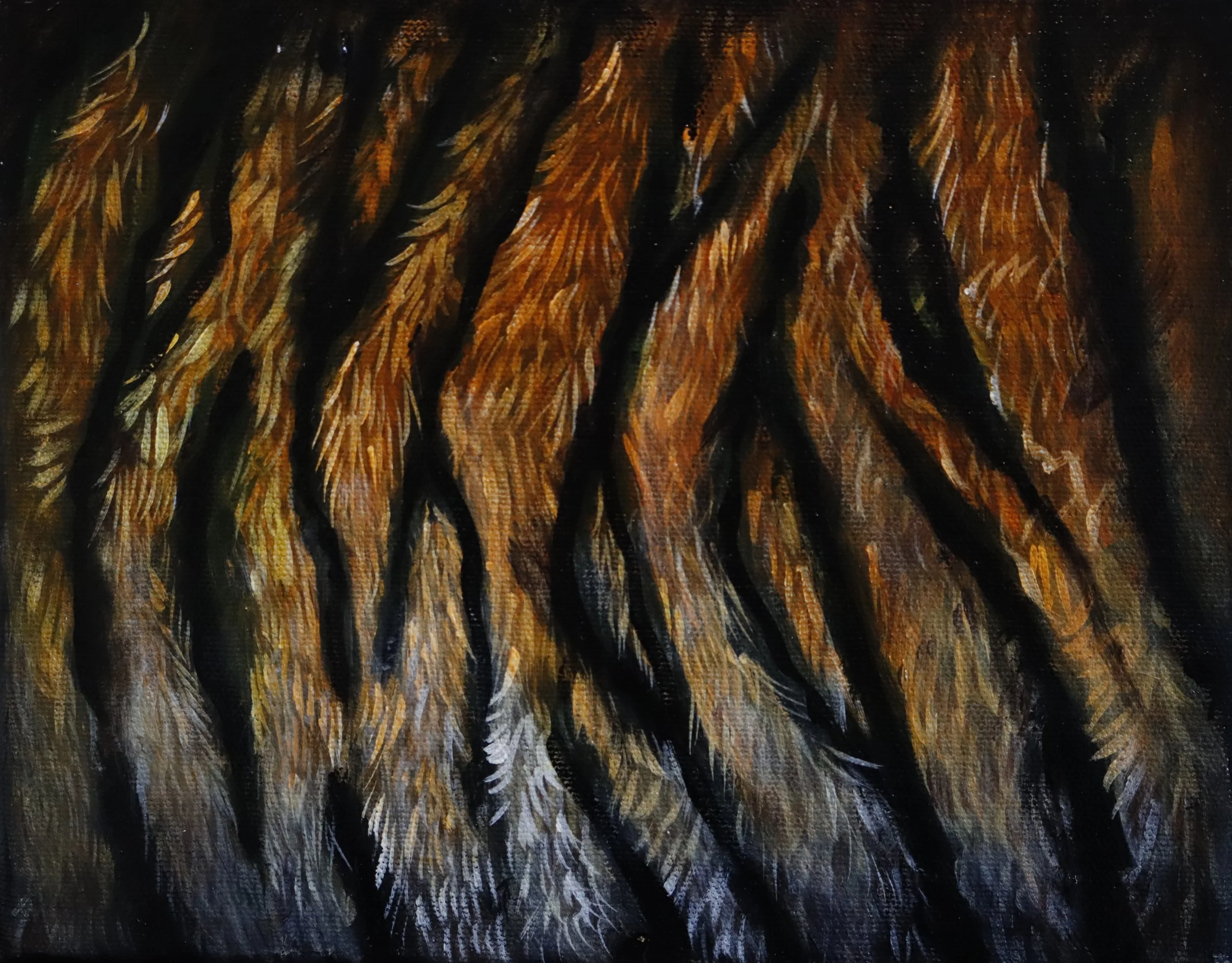 "Fur 1" 
10" x 8" 
Acrylic on Gallery Canvas
Enquire to purchase. 
Available June 1st, 2026