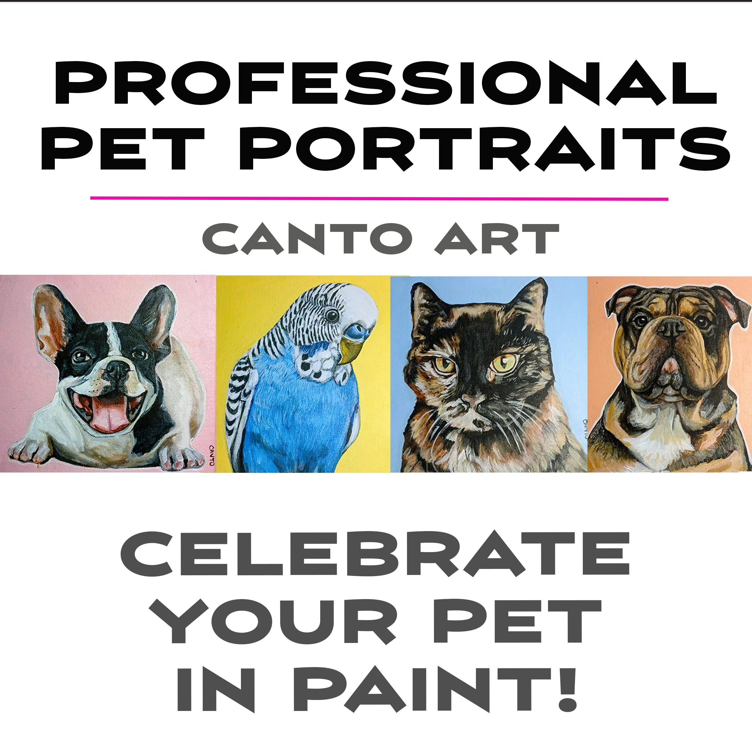 Pet Portraits