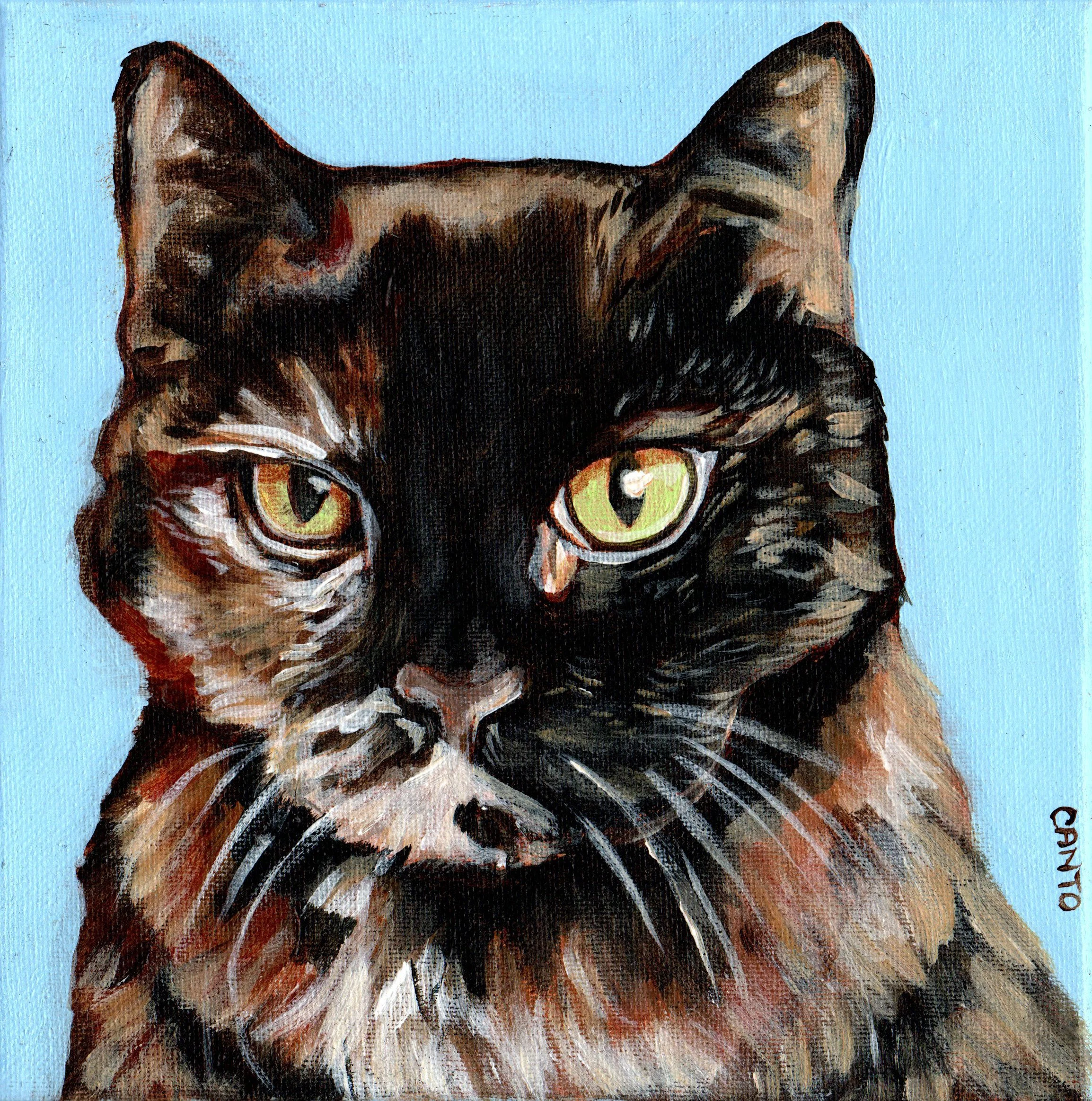 tortie cat scanned.jpg