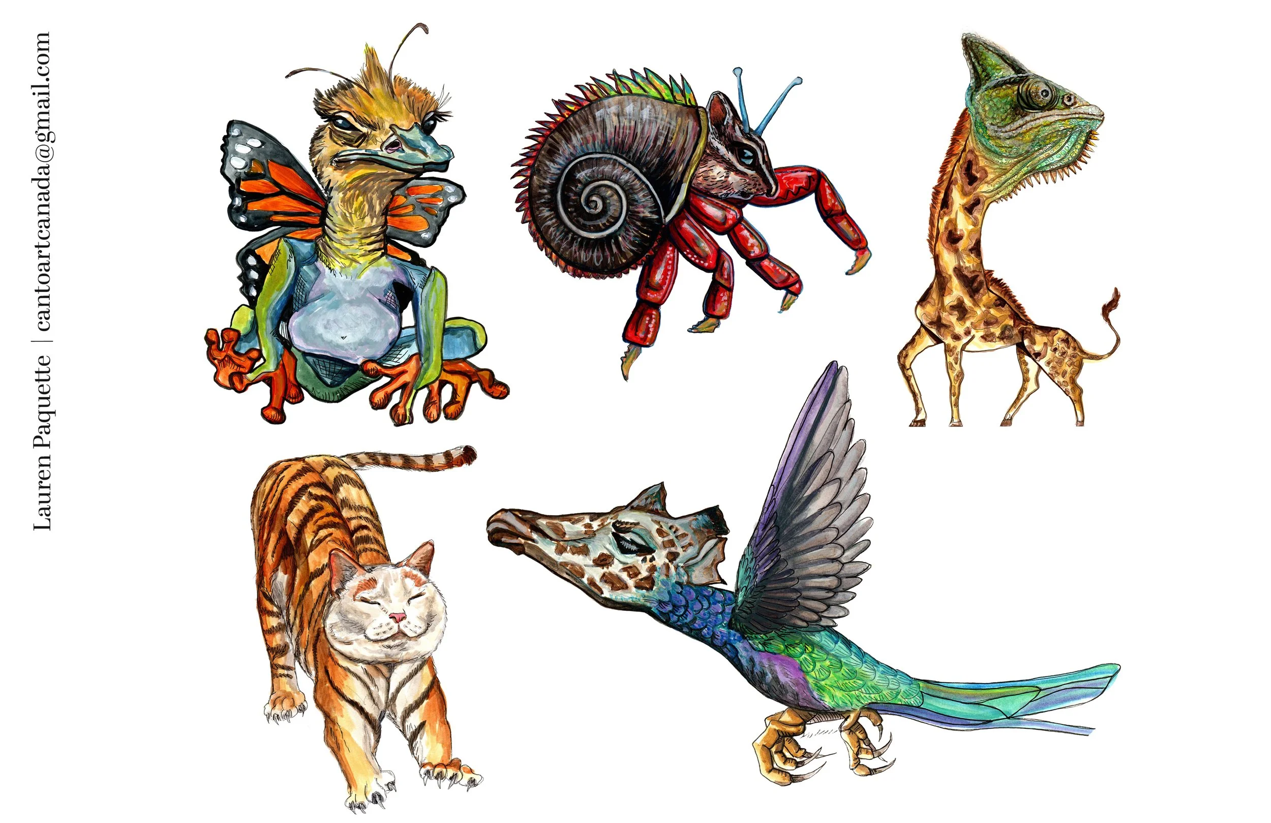wide portfolio mixups.jpg